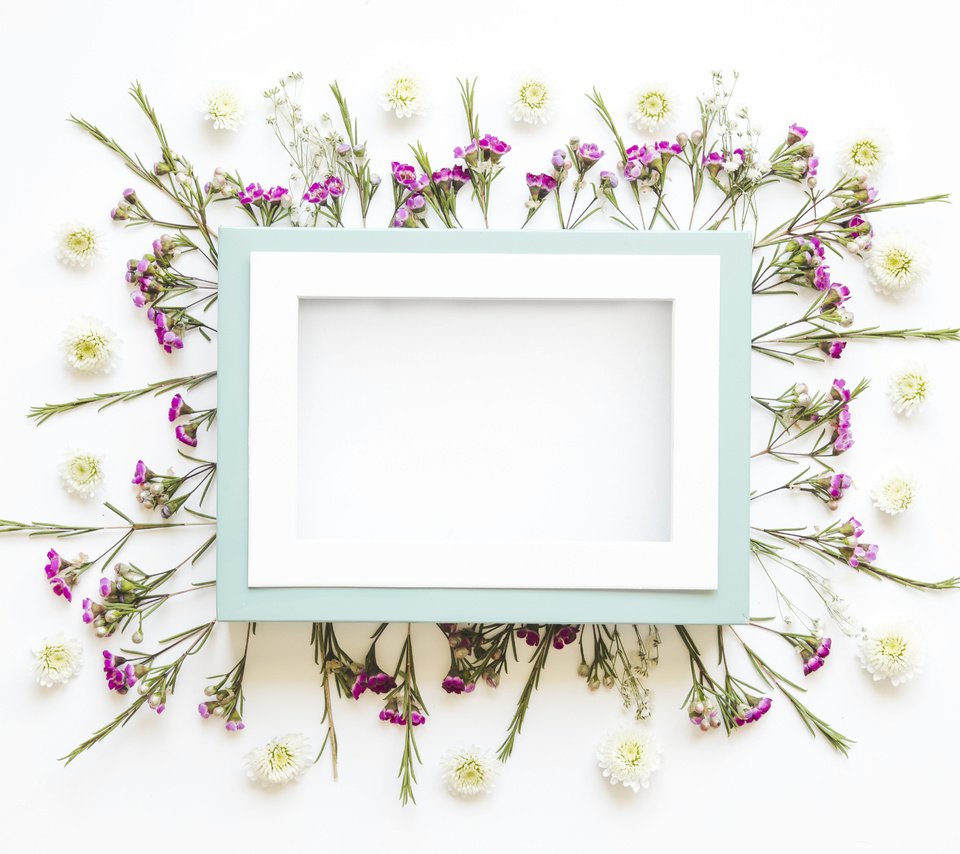 Обои цветы, лепестки, рамка, кадр,  цветы, декорация, декор, flowers, petals, frame, decoration, decor разрешение 5050x3367 Загрузить