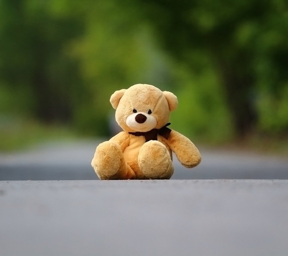 Обои фон, медведь, мишка, игрушка, асфальт, плюшевый мишка, background, bear, toy, asphalt, teddy bear разрешение 1920x1280 Загрузить