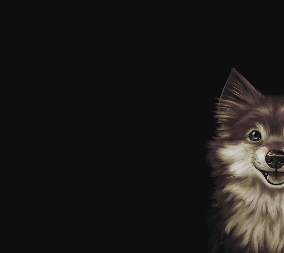 Обои арт, рисунок, черный фон, песик, собачка, sadie, kris lewis, art, figure, black background, doggie, dog разрешение 1920x1080 Загрузить