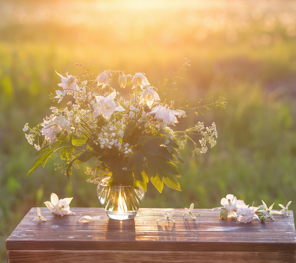 Обои цветы, природа, фон, стол, букет, ваза, flowers, nature, background, table, bouquet, vase разрешение 3994x2663 Загрузить