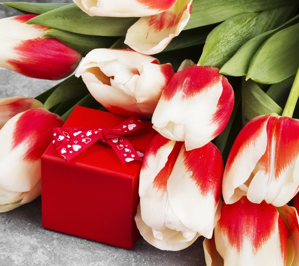 Обои цветы, букет, тюльпаны, подарок, 8 марта, flowers, bouquet, tulips, gift, march 8 разрешение 5091x3394 Загрузить