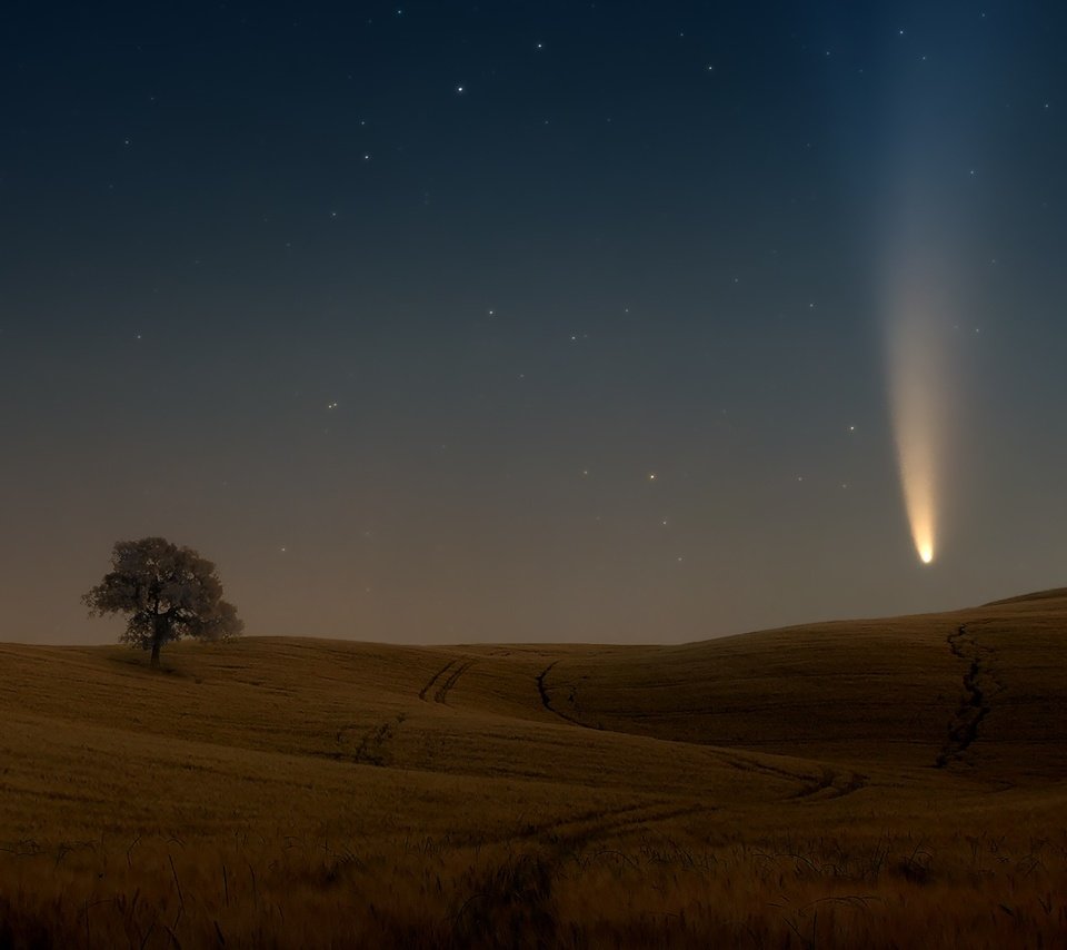 Обои небо, дерево, звезды, поле, комета, the sky, tree, stars, field, comet разрешение 2000x1125 Загрузить