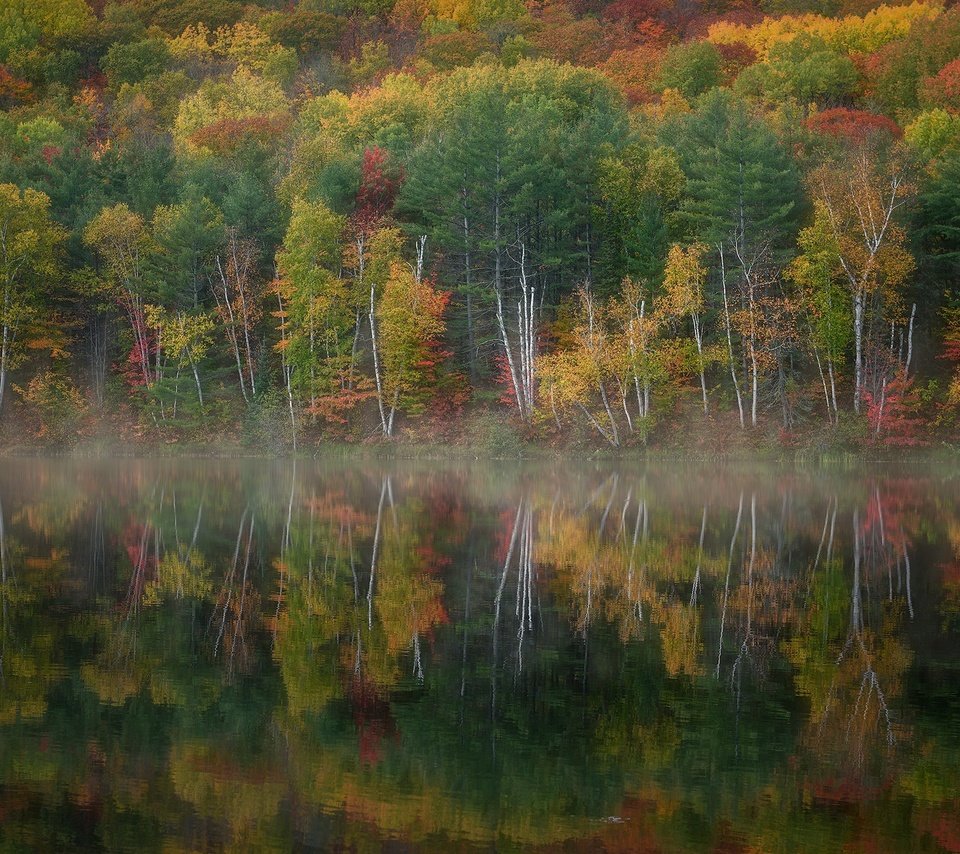 Обои озеро, лес, осень, lake, forest, autumn разрешение 2048x1268 Загрузить