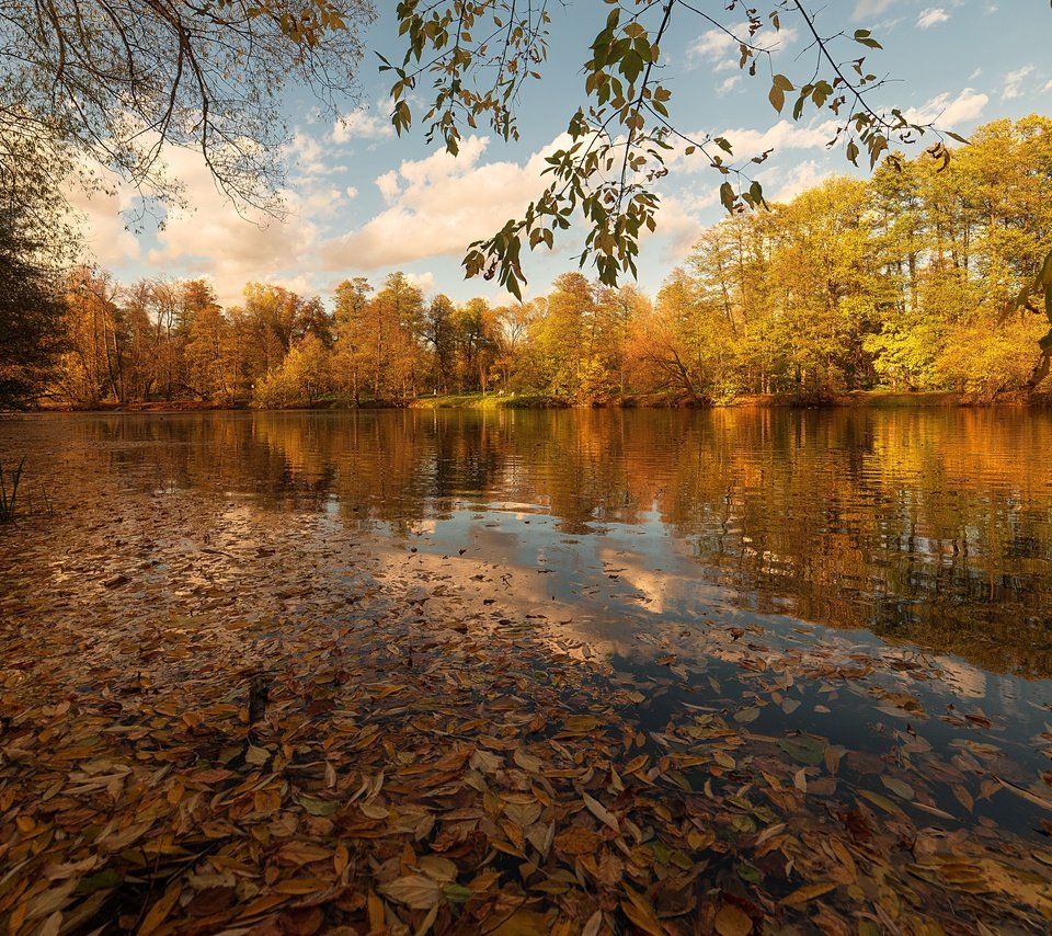 Обои озеро, листья, осень, lake, leaves, autumn разрешение 3840x2160 Загрузить