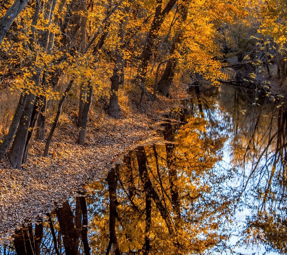 Обои деревья, река, природа, отражение, осень, trees, river, nature, reflection, autumn разрешение 3840x2160 Загрузить