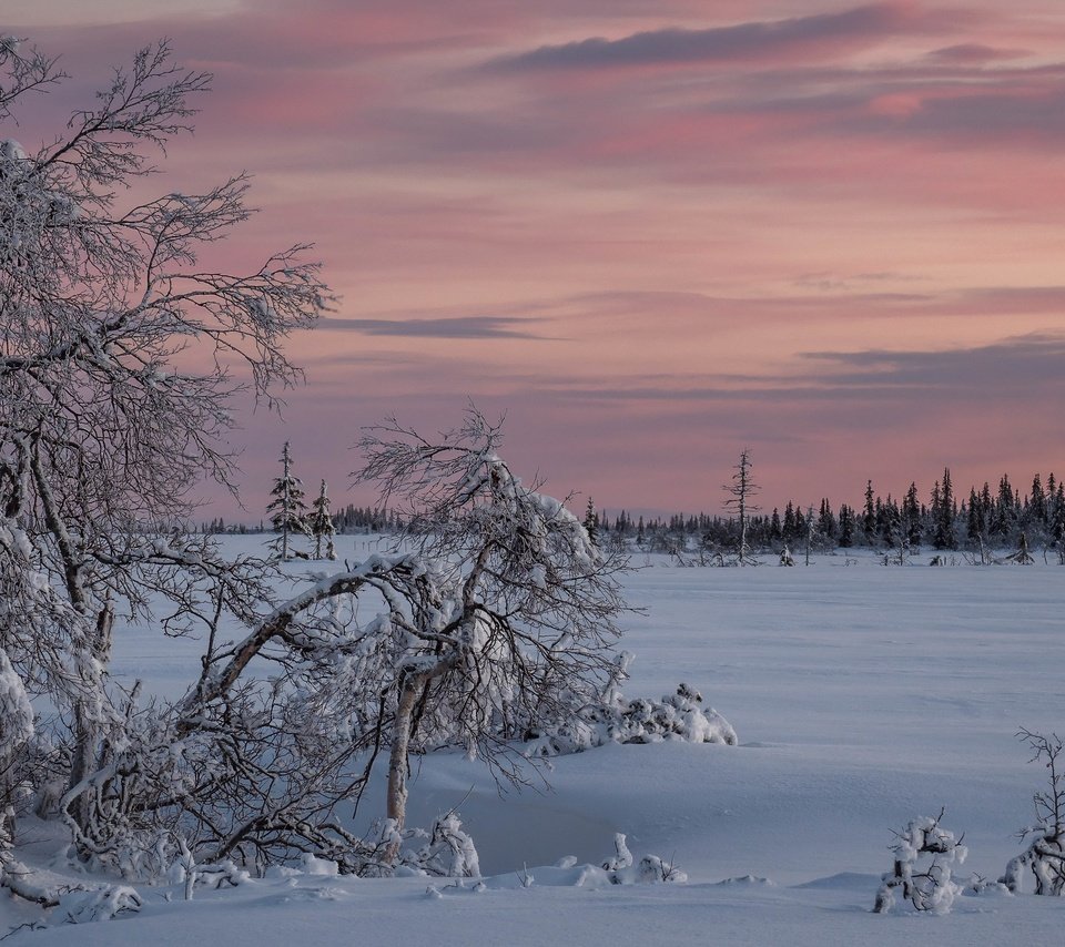 Обои снег, закат, зима, snow, sunset, winter разрешение 3840x2160 Загрузить