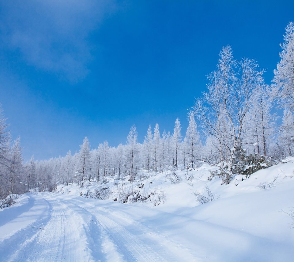 Обои дорога, колея, снег, голубое небо, природа, лес, зима, иней, ели, сугробы, road, track, snow, blue sky, nature, forest, winter, frost, ate, the snow разрешение 5616x3744 Загрузить