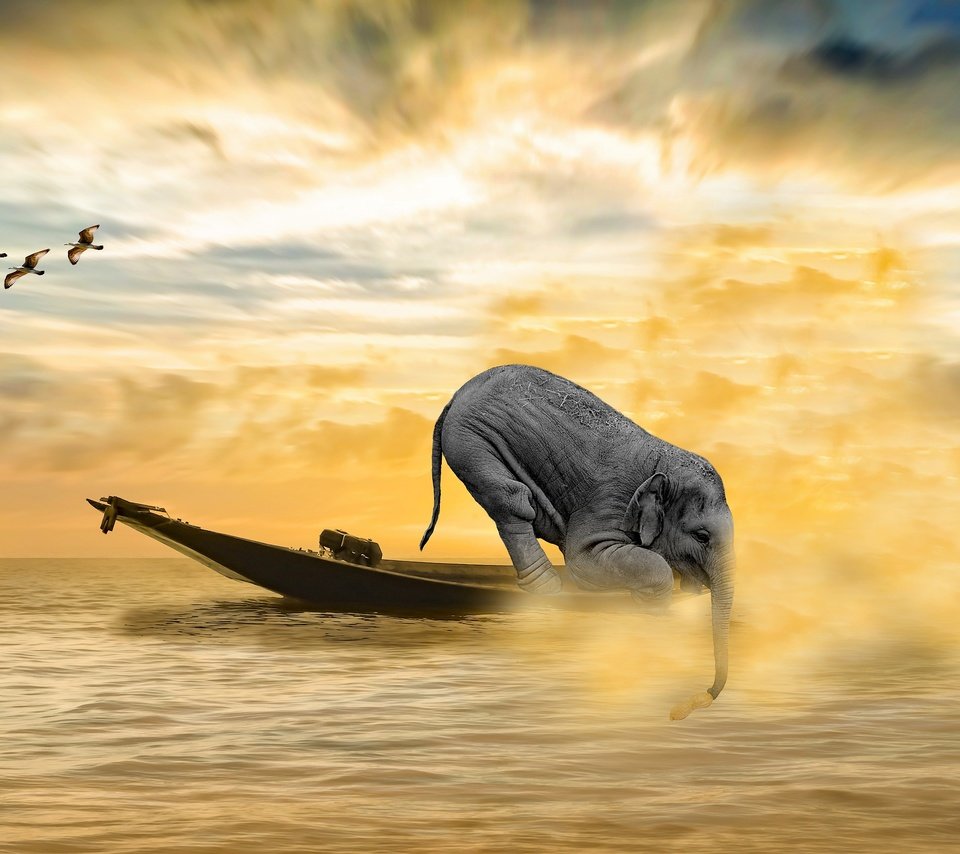 Обои море, слон, водоем, лодка, рендеринг, чайки, sea, elephant, pond, boat, rendering, seagulls разрешение 3840x2560 Загрузить