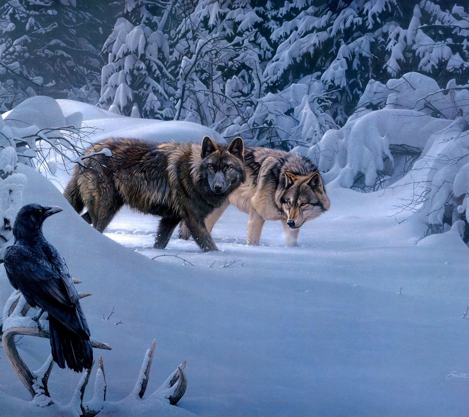 Обои зима, птица, ворон, волки, daniel smith, winter, bird, raven, wolves разрешение 3692x2484 Загрузить