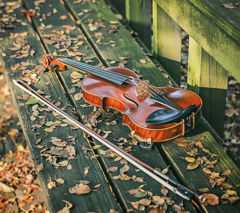 Обои листья, скрипка, осень, лежит, скамейка, музыкальный инструмент, смычок, leaves, violin, autumn, lies, bench, musical instrument, bow разрешение 1920x1080 Загрузить