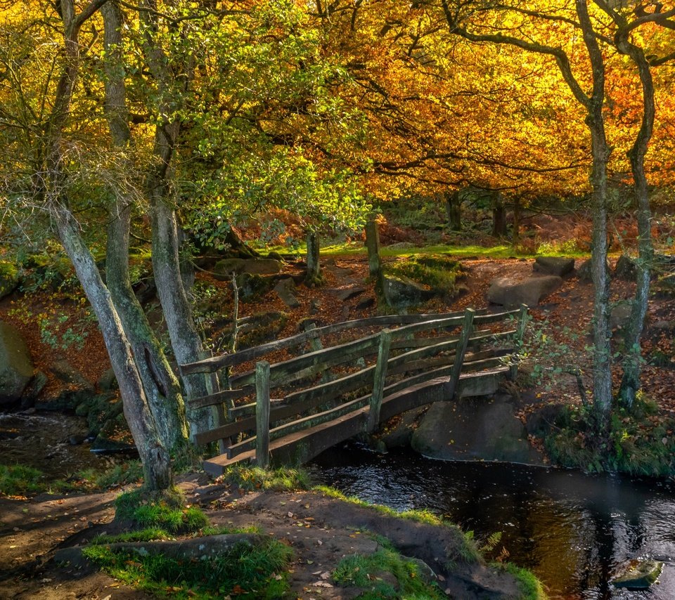 Обои деревья, природа, камни, мостик, лес, пейзаж, осень, речка, trees, nature, stones, the bridge, forest, landscape, autumn, river разрешение 2850x1862 Загрузить