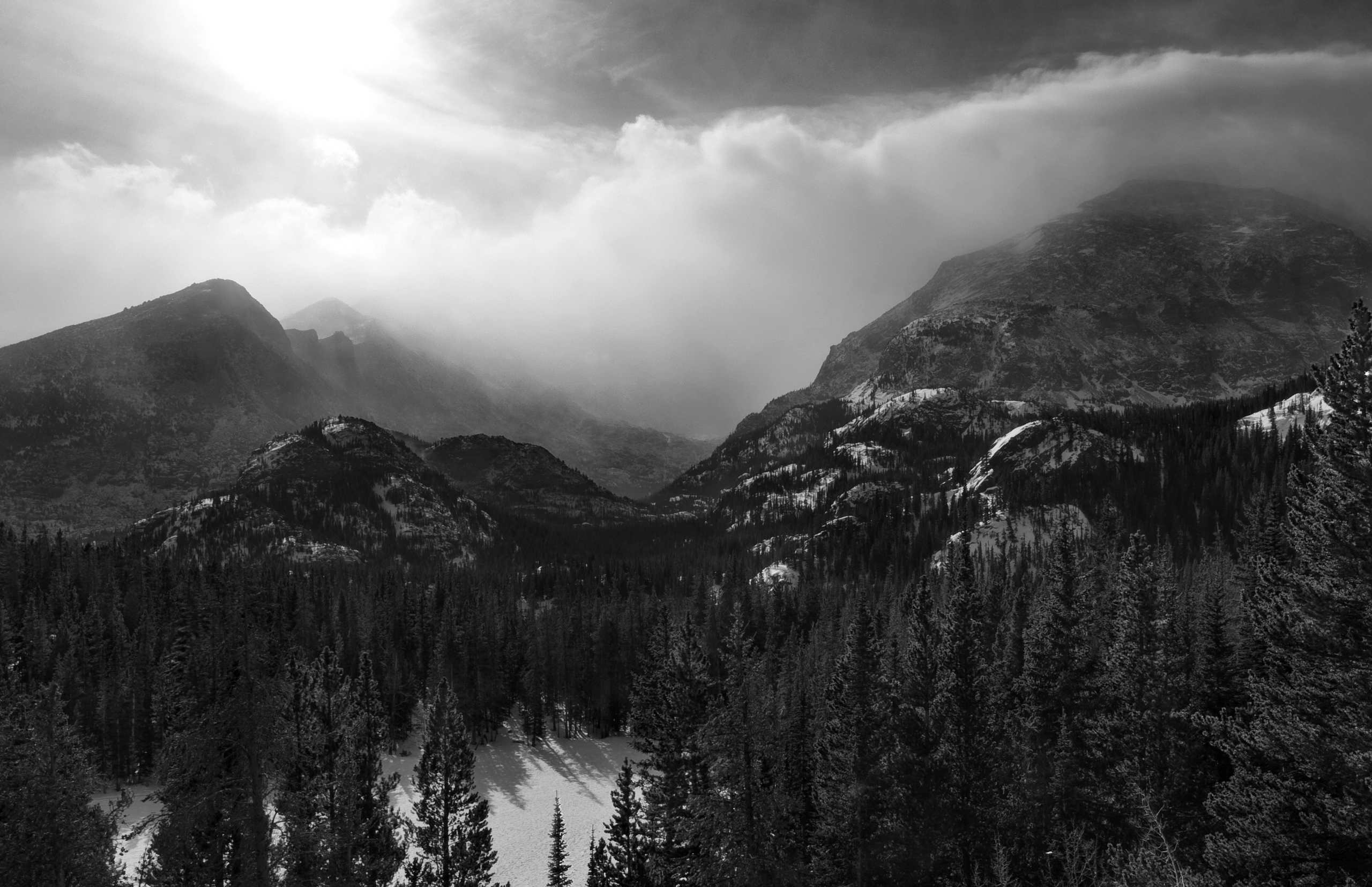 Обои горы, лес, черно-белая, mountains, forest, black and white разрешение 2560x1656 Загрузить