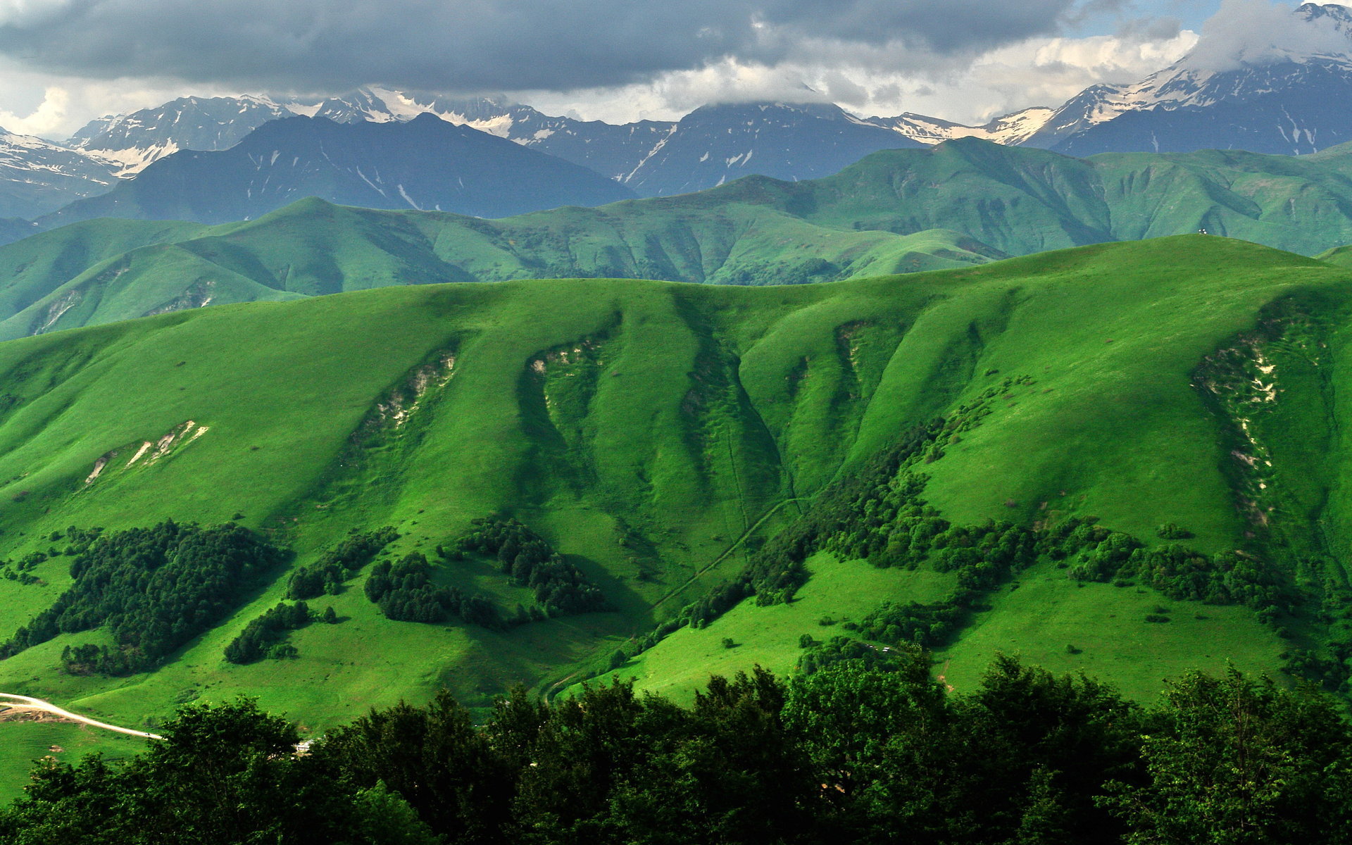 Обои трава, горы, южная осетия, grass, mountains, south ossetia разрешение 1920x1200 Загрузить