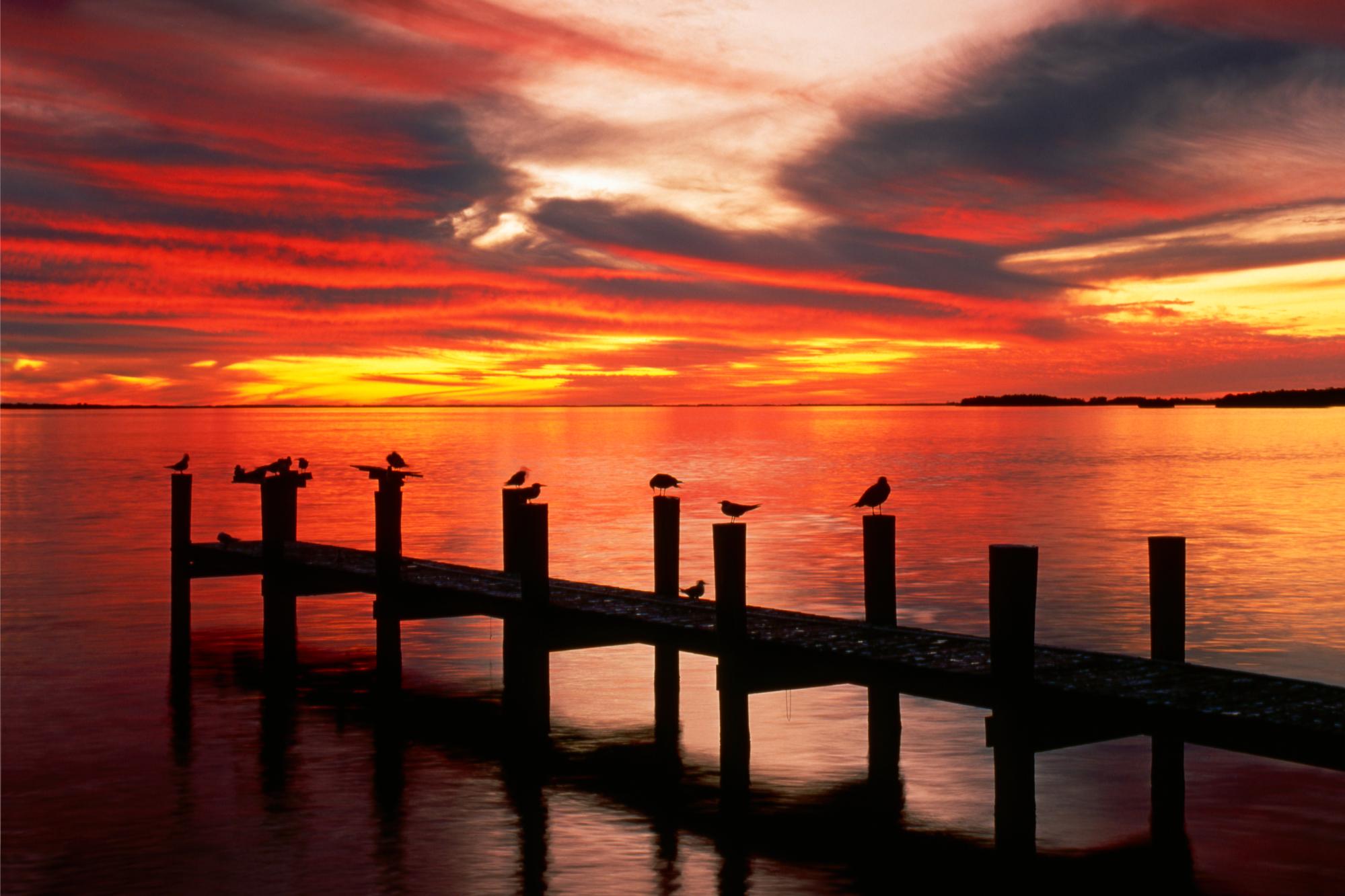 Обои озеро, закат, причал, чайки, lake, sunset, pier, seagulls разрешение 1999x1333 Загрузить