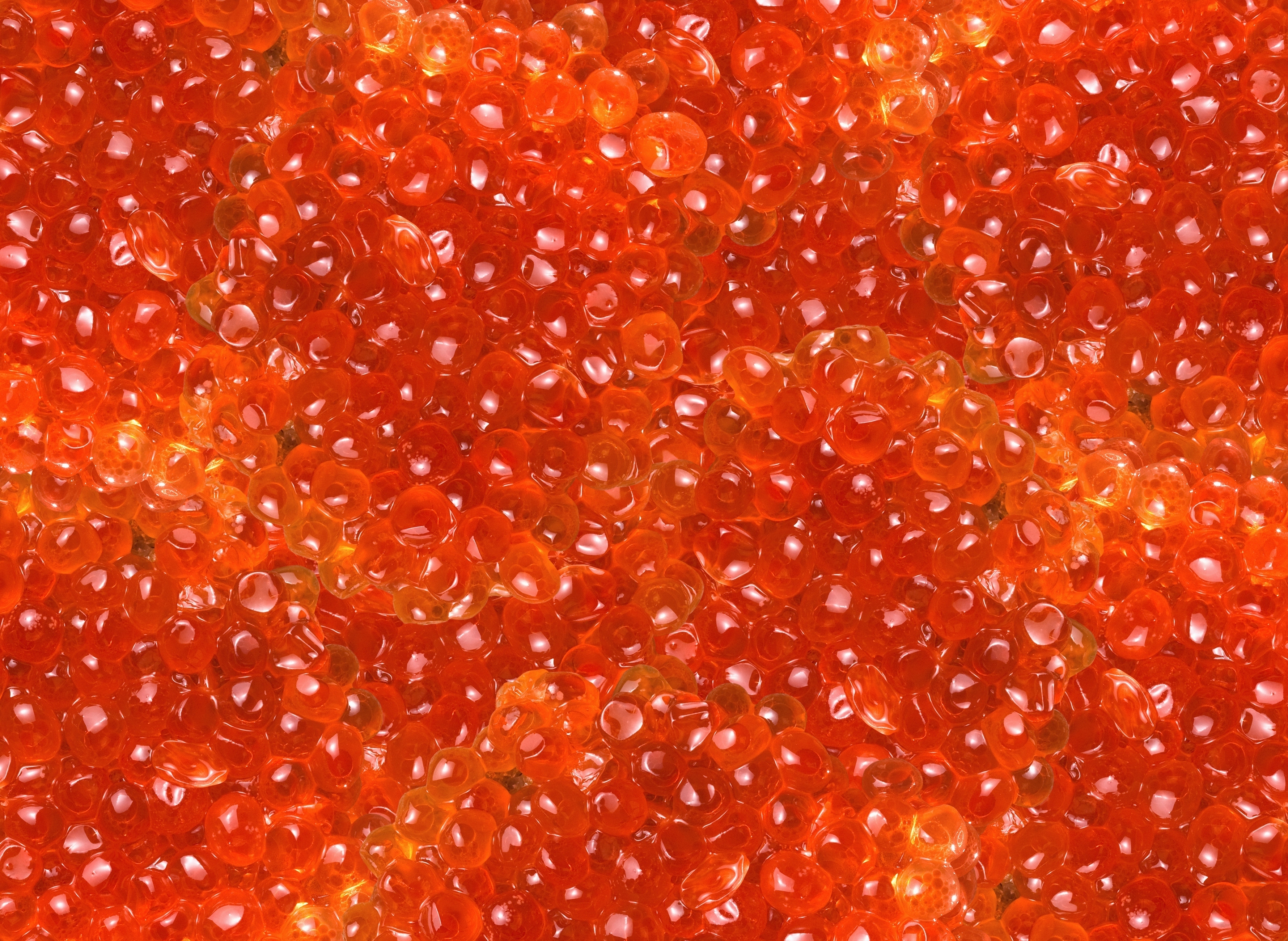 Обои красная, зерна, вкусно, икра, красная икра, red, grain, delicious, caviar, red caviar разрешение 3560x2600 Загрузить