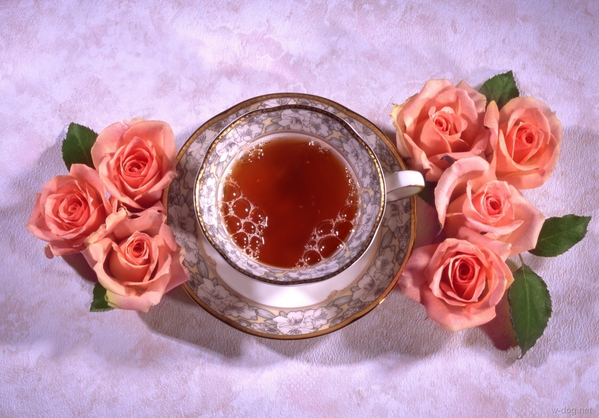 Обои цветы, розы, блюдце, чашка, чай, натюрморт, flowers, roses, saucer, cup, tea, still life разрешение 1920x1339 Загрузить