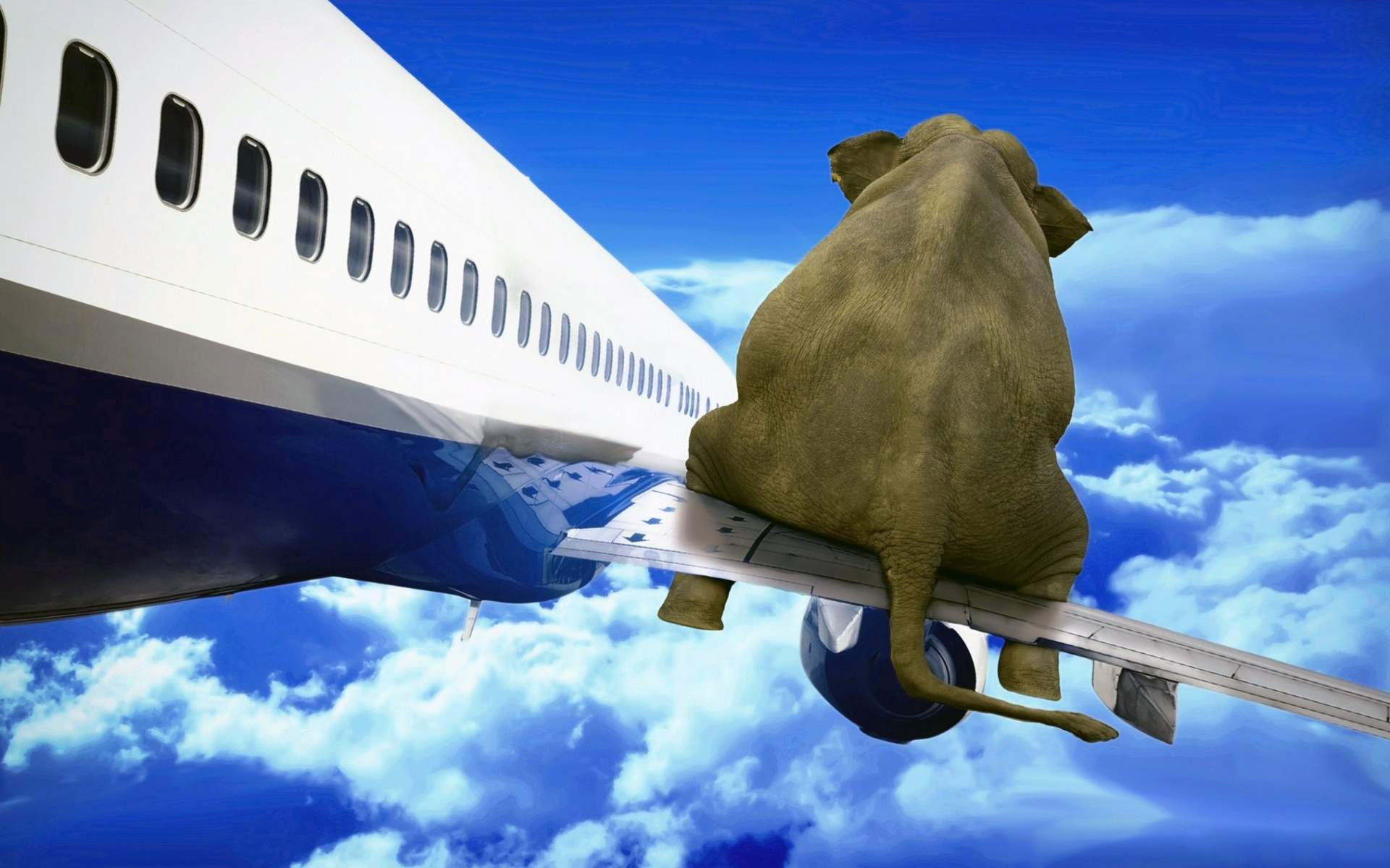 Обои небо, облака, самолет, слон, the sky, clouds, the plane, elephant разрешение 1920x1200 Загрузить