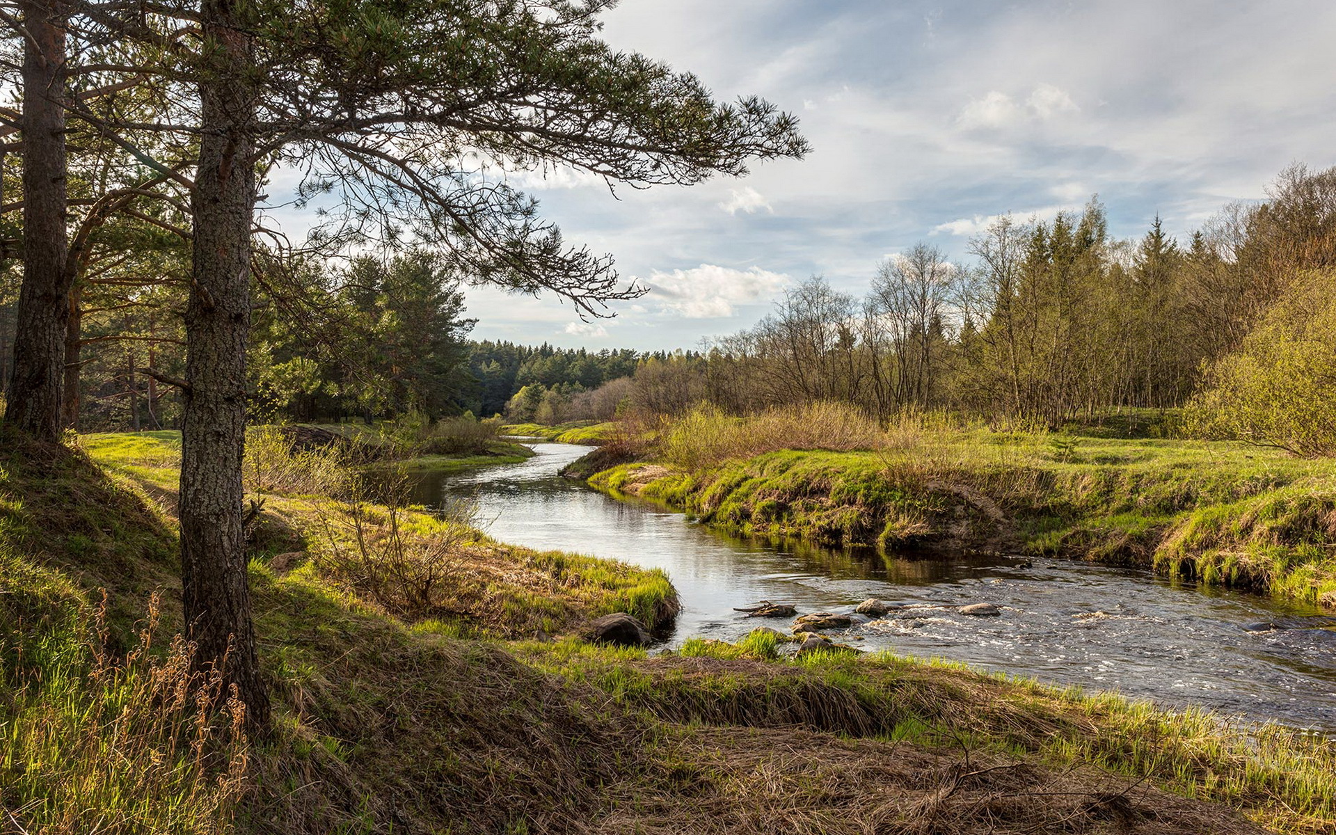 Обои река, природа, лес, river, nature, forest разрешение 1920x1200 Загрузить