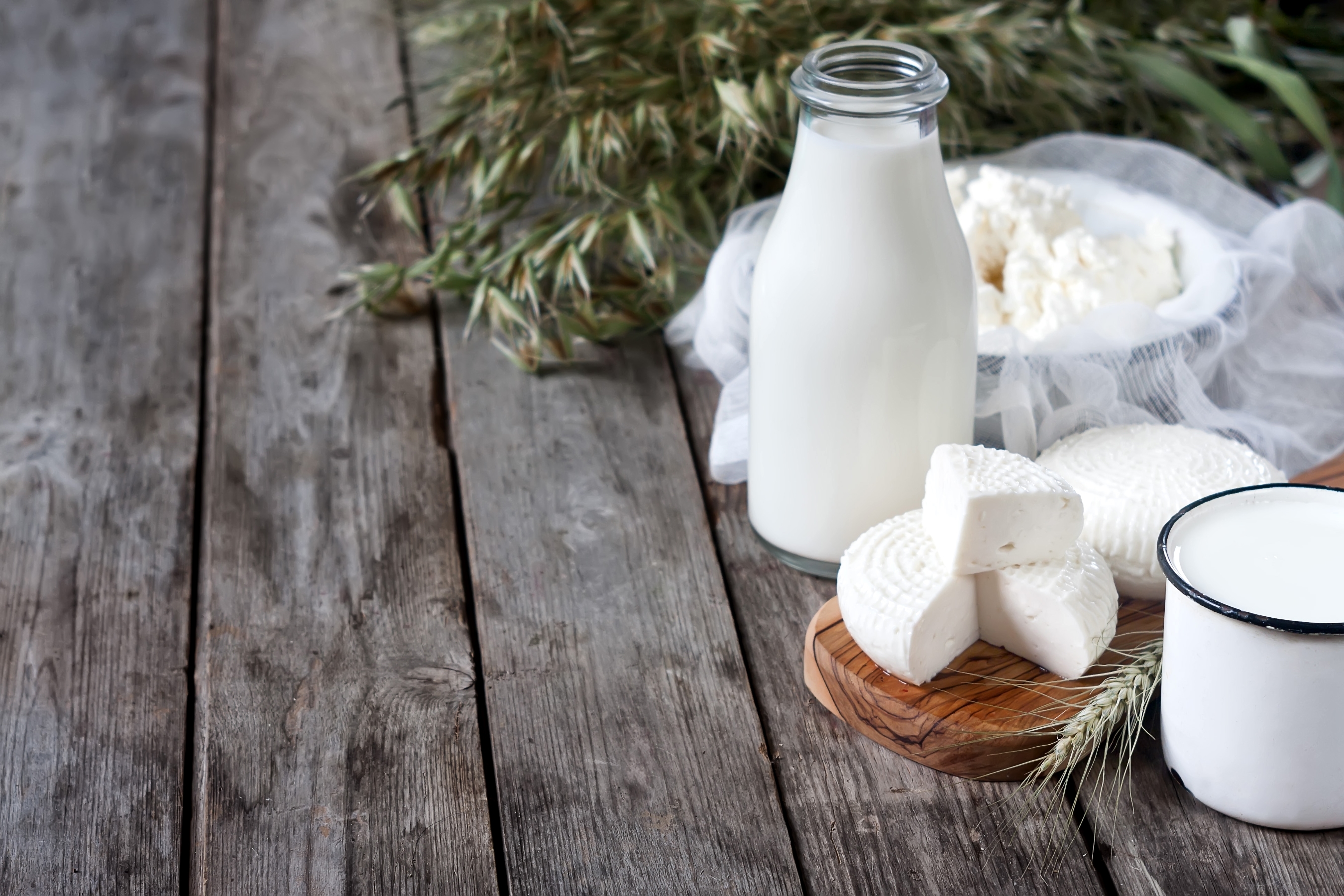 Обои доски, сыр, кружка, бутылка, молоко, творог, молочные продукты, board, cheese, mug, bottle, milk, dairy products разрешение 2700x1800 Загрузить