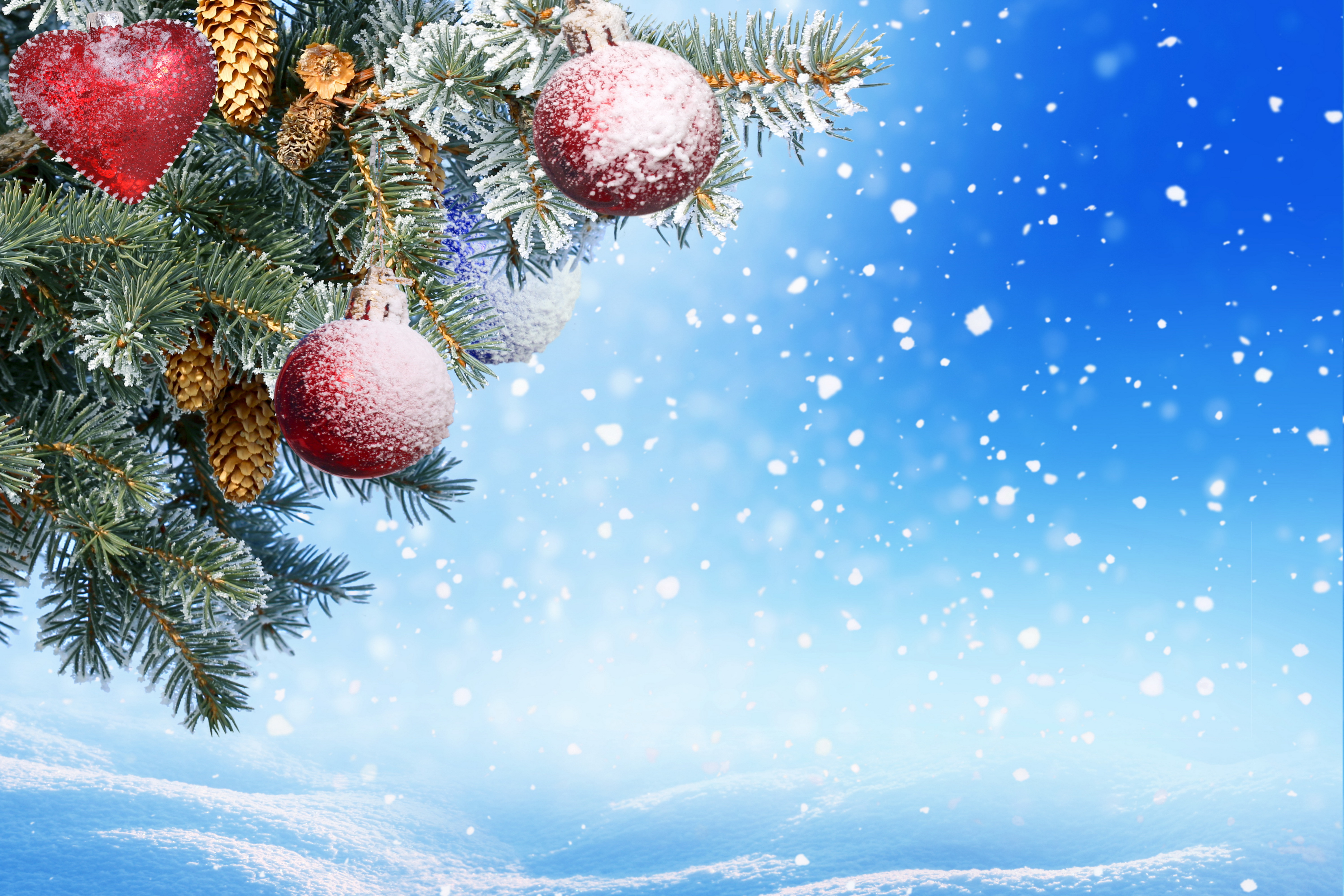 Обои снег, шишки, новый год, клубки, декорация, елка, елочная, merry, шары, украшения, зима, игрушки, рождество, snow, bumps, new year, tree, balls, decoration, winter, toys, christmas разрешение 6000x4000 Загрузить