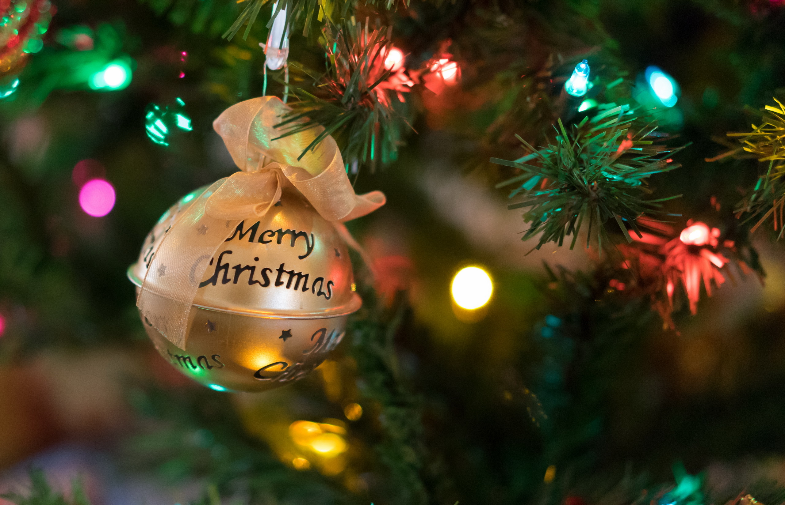 Обои новый год, елка, игрушка, рождество, новогодние украшения, елочная, new year, tree, toy, christmas, christmas decorations разрешение 2560x1649 Загрузить