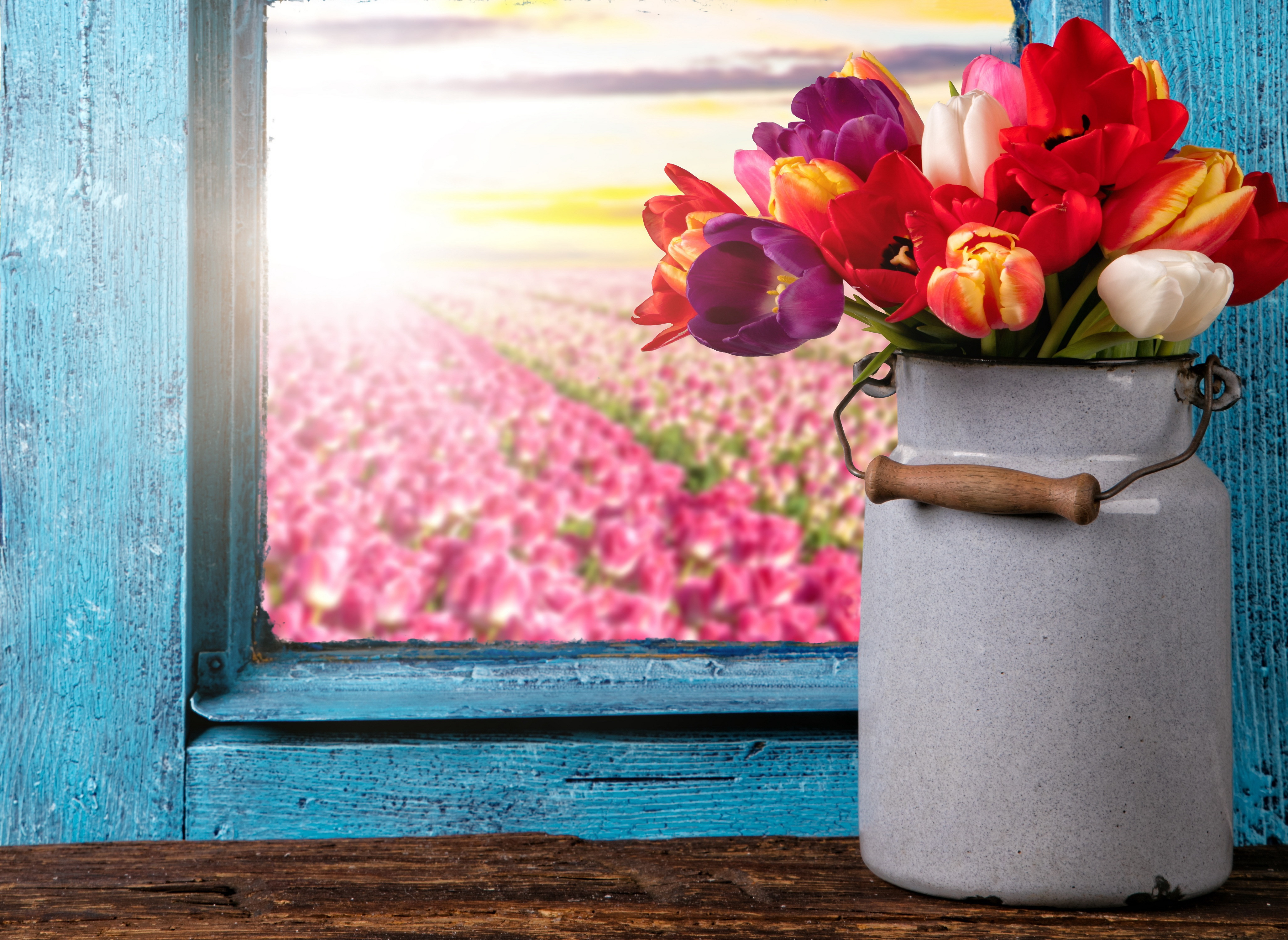 Обои букет, тюльпаны, окно, тульпаны,  цветы, красочная, bouquet, tulips, window, flowers, colorful разрешение 4110x3000 Загрузить