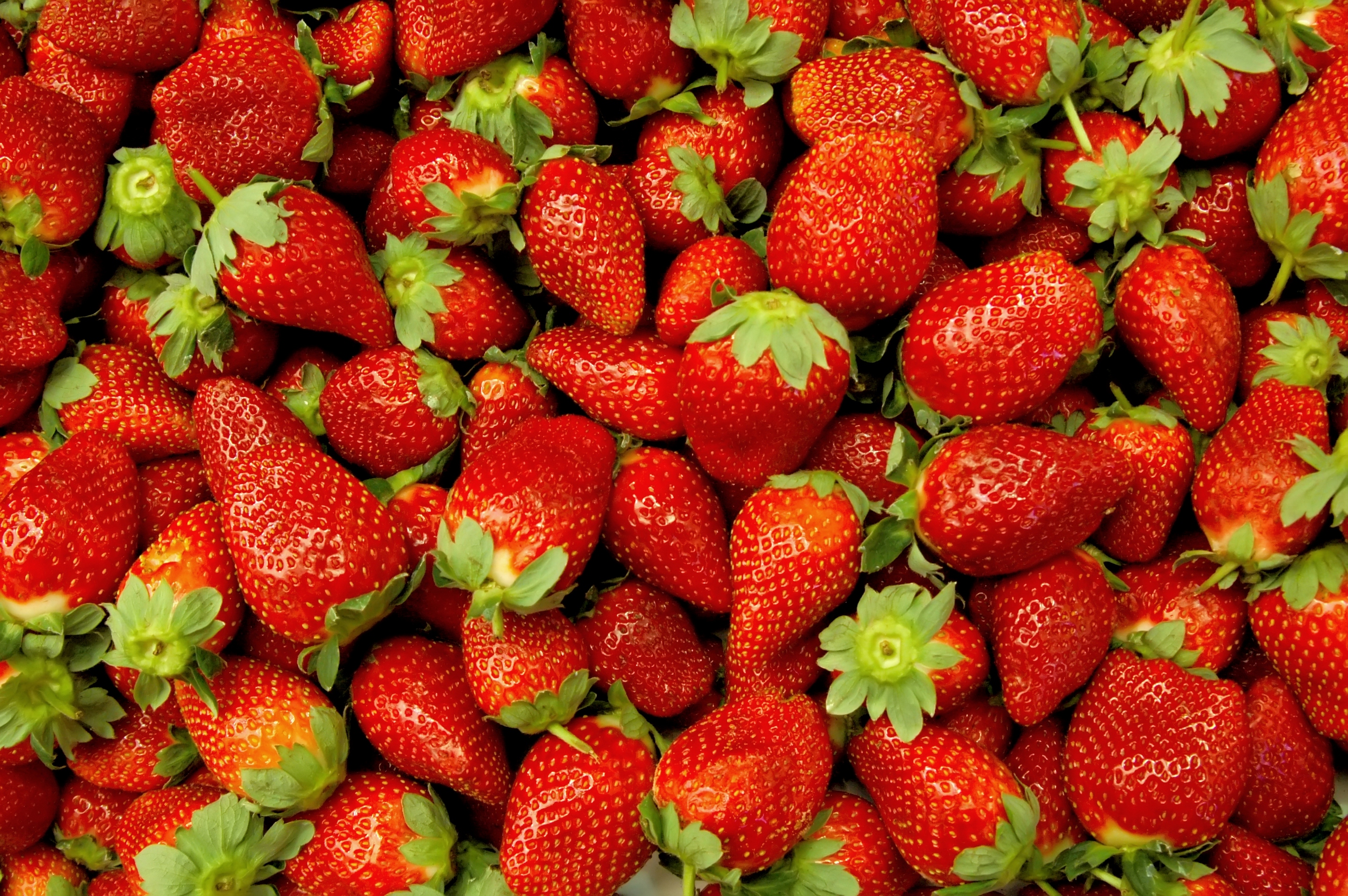 Обои клубника, ягоды, берри, strawberry, berries, berry разрешение 2880x1915 Загрузить