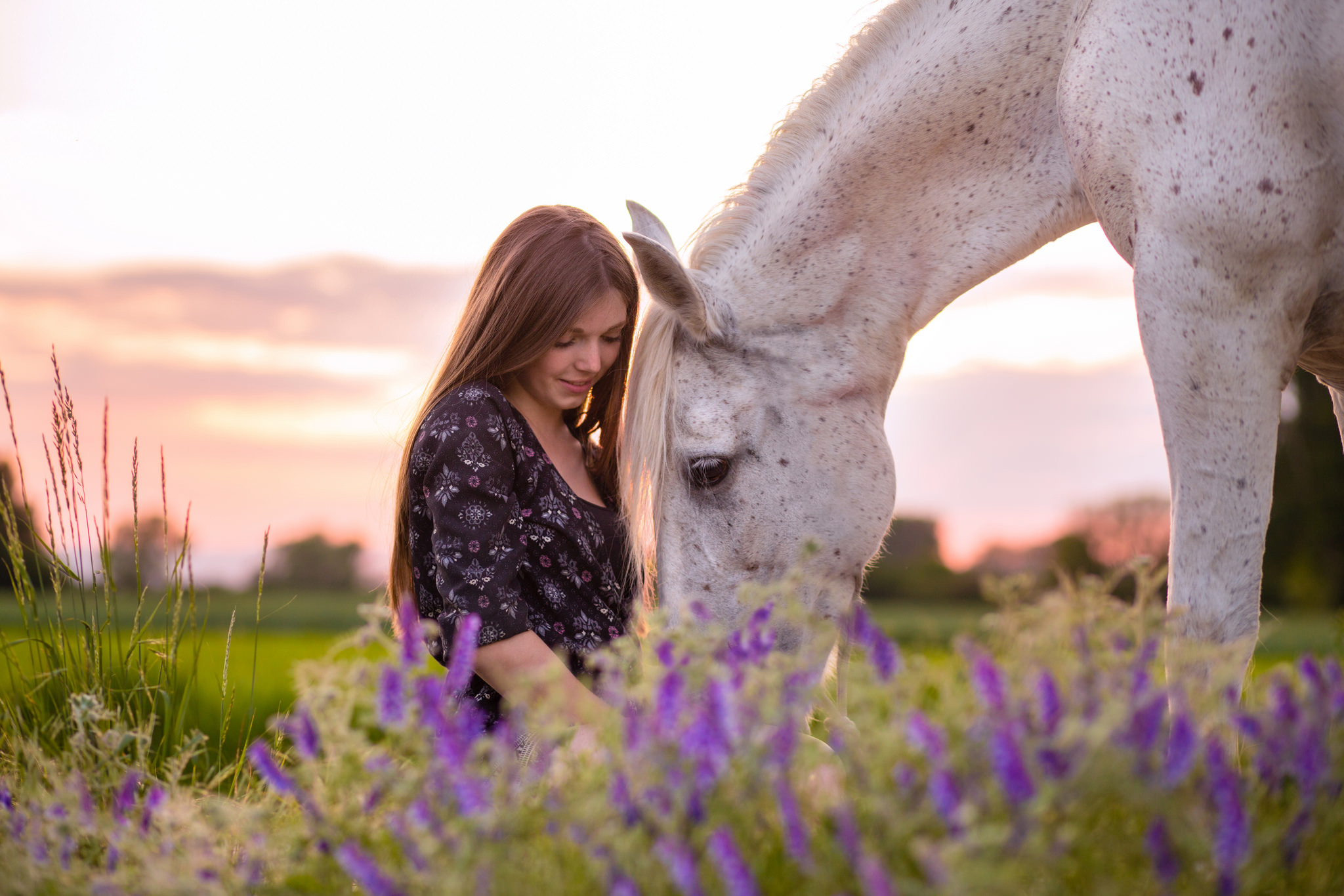 Обои природа, девушка, конь, nature, girl, horse разрешение 2048x1365 Загрузить