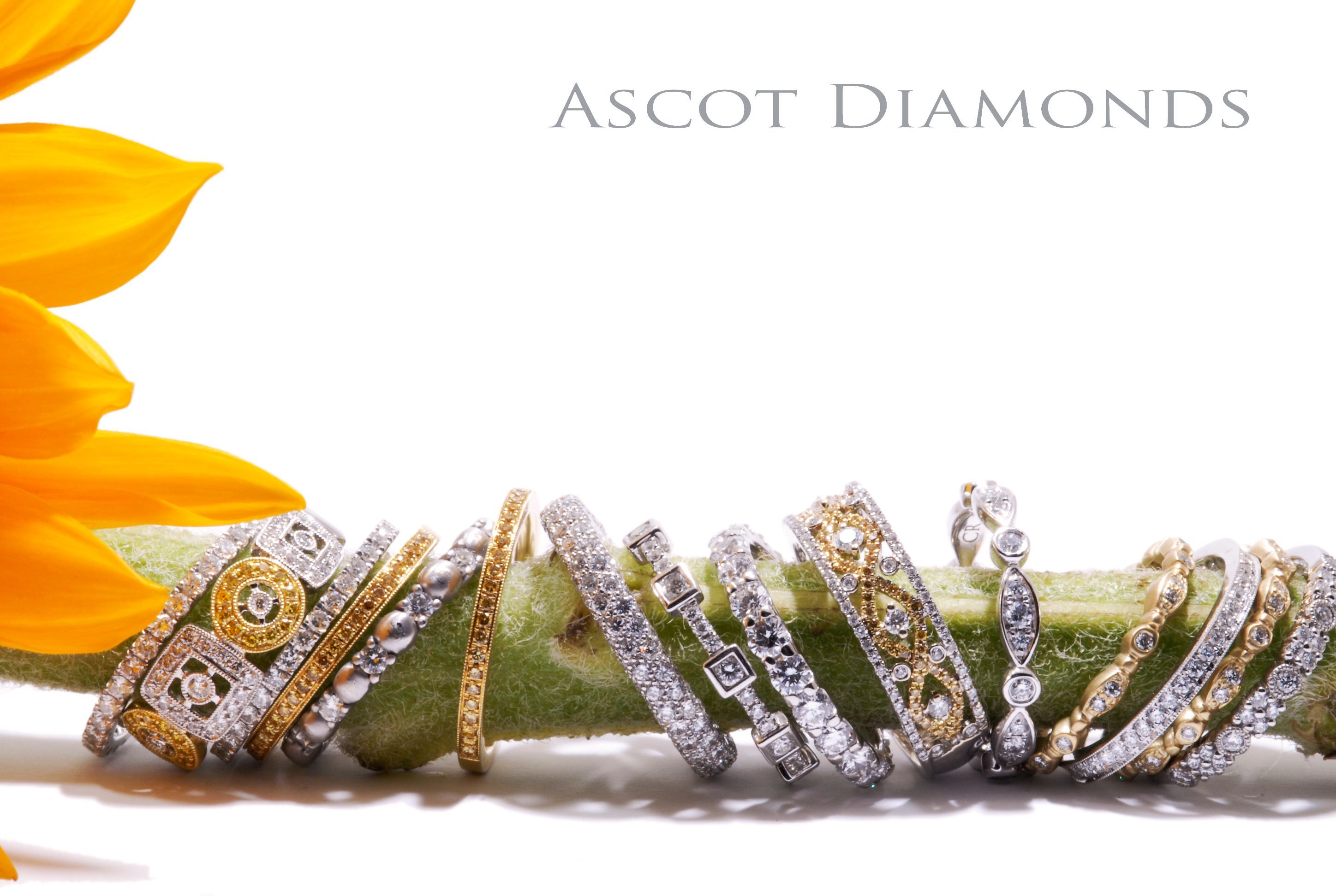 Обои цветок, кольца, украшение, алмаз, jewelery, flower, ring, decoration, diamond разрешение 2896x1944 Загрузить