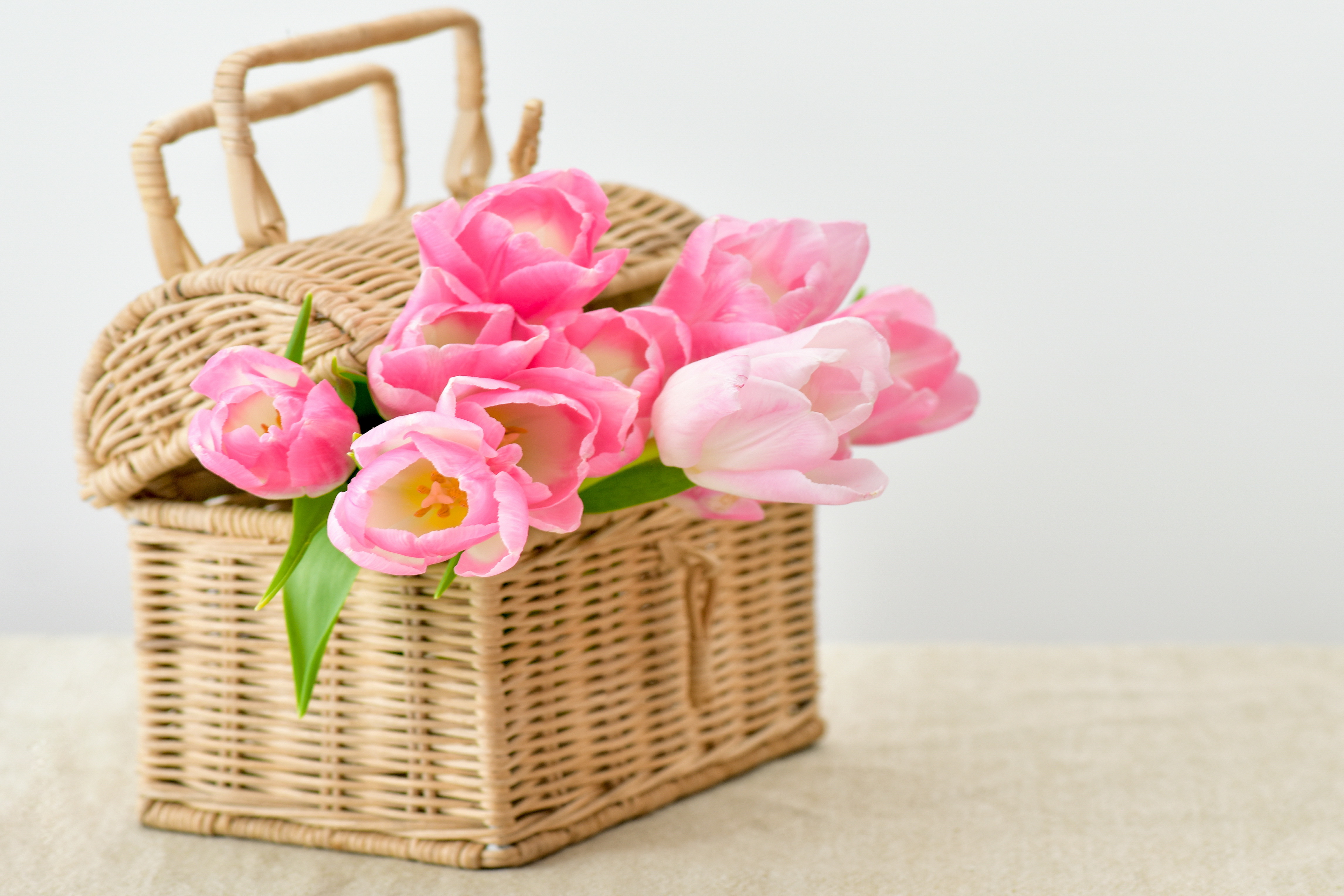 Обои цветы, букет, корзина, тюльпаны, тульпаны,  цветы, pink-tulips-flowers-bouquet.jpg pink, flowers, bouquet, basket, tulips разрешение 4585x3057 Загрузить