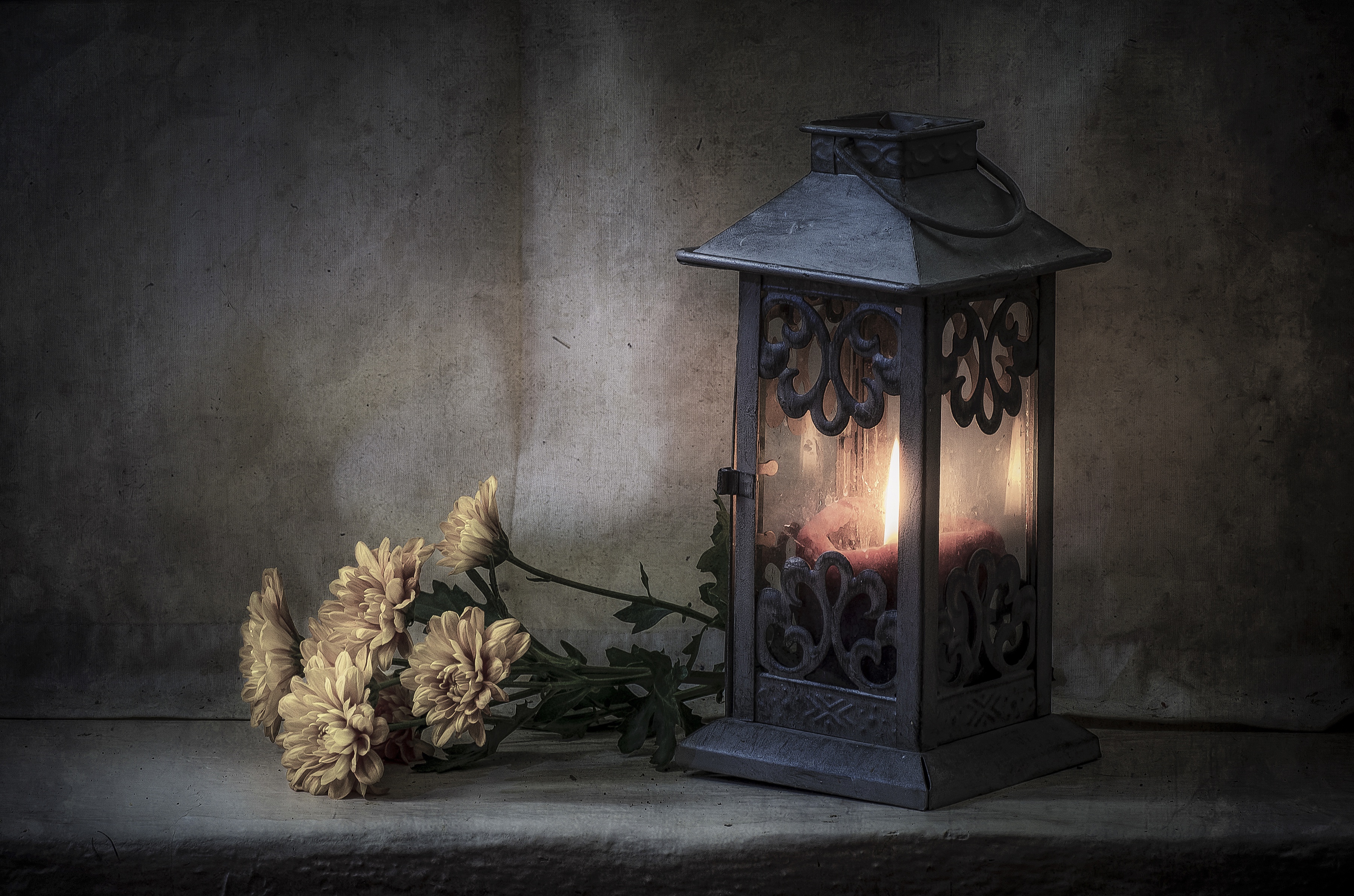 Обои цветы, стиль, фонарь, свеча, хризантемы, flowers, style, lantern, candle, chrysanthemum разрешение 3600x2384 Загрузить