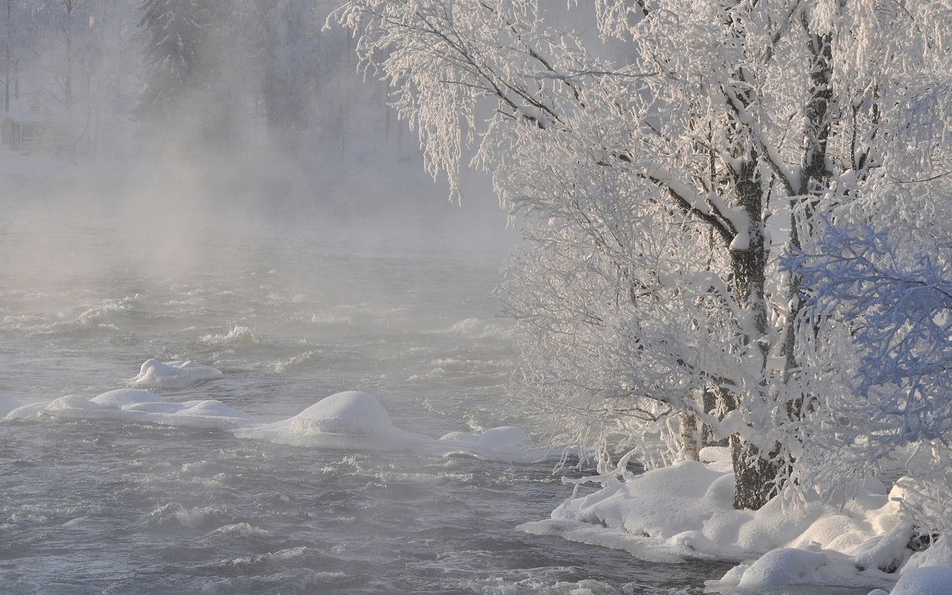 Обои река, снег, природа, дерево, лес, зима, ветки, иней, river, snow, nature, tree, forest, winter, branches, frost разрешение 1920x1200 Загрузить