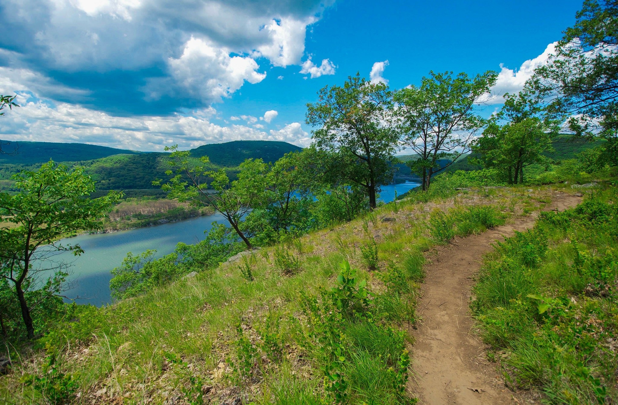 Обои небо, трава, облака, деревья, природа, пейзаж, тропинка, the sky, grass, clouds, trees, nature, landscape, path разрешение 2048x1342 Загрузить