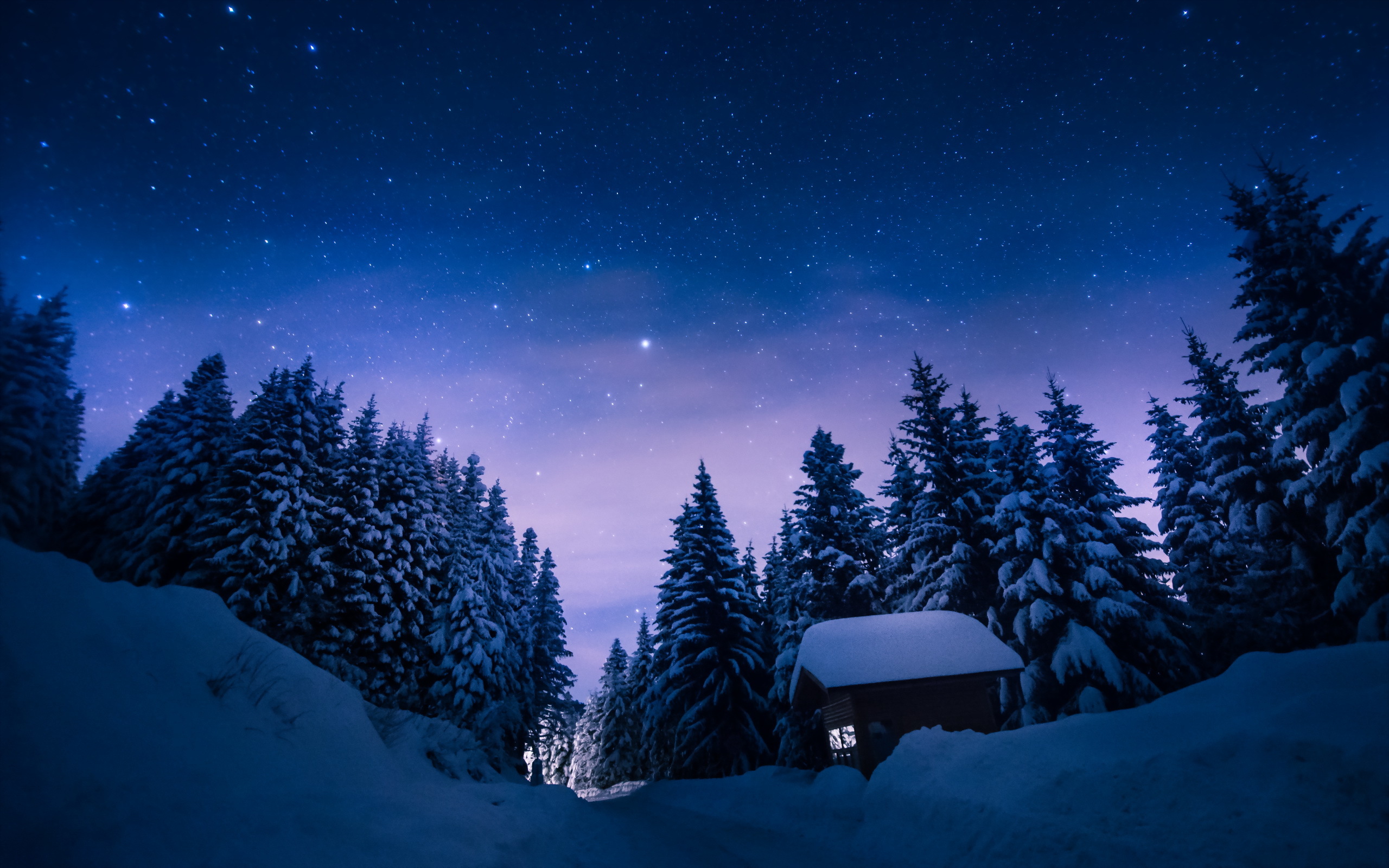 Обои небо, снегопад, деревья, снег, лес, зима, звезды, сосны, домик, the sky, snowfall, trees, snow, forest, winter, stars, pine, house разрешение 2560x1600 Загрузить