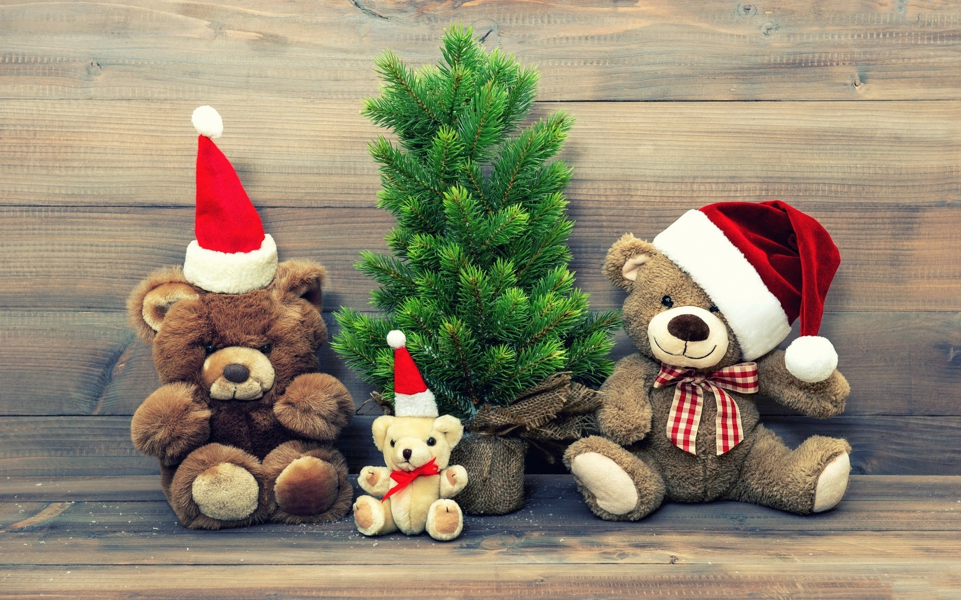 Обои новый год, елка, мишки, игрушки, рождество, плюшевые мишки, new year, tree, bears, toys, christmas, teddy bears разрешение 1920x1200 Загрузить
