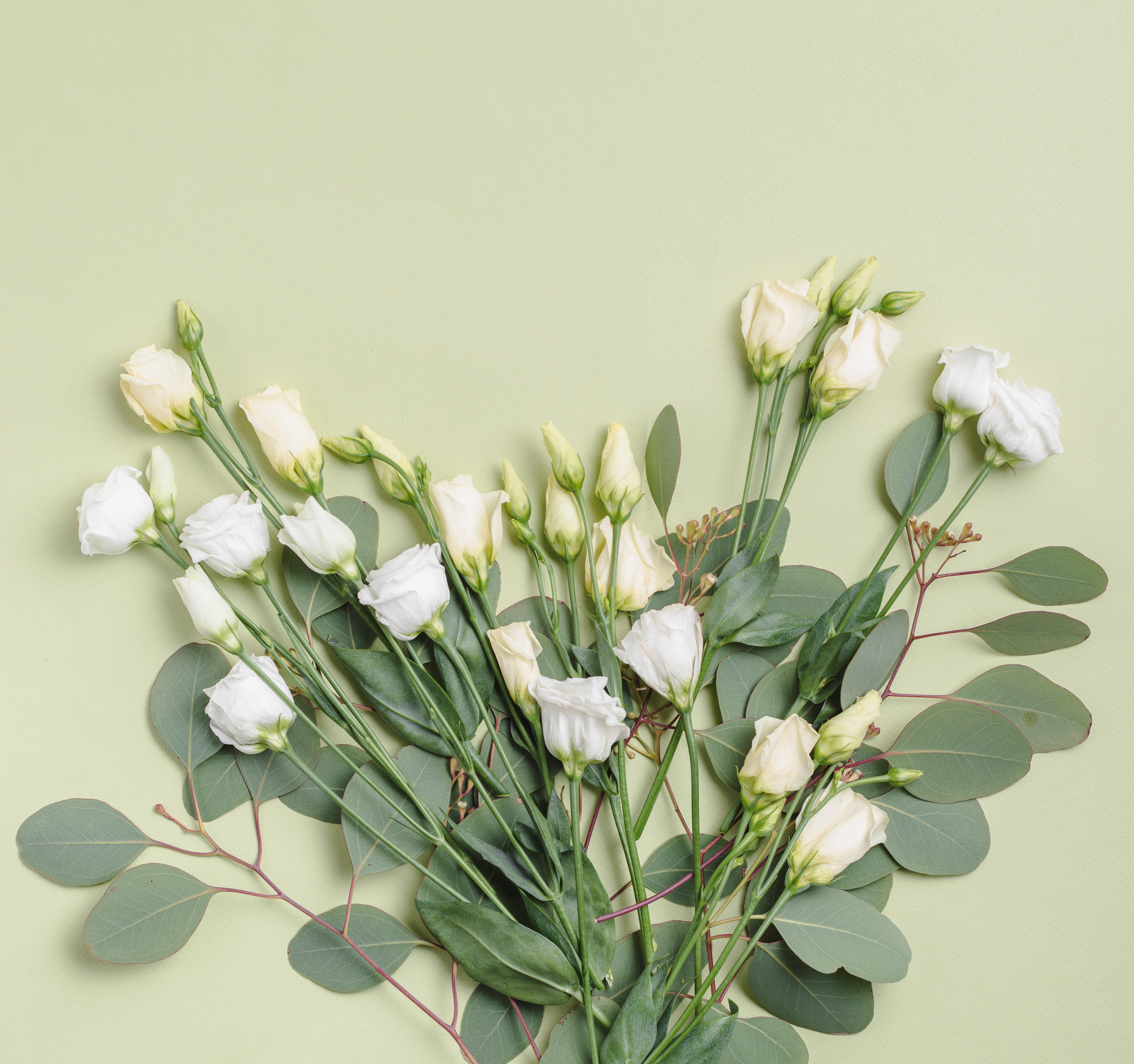 Обои цветы, фон, букет, эустома, лизиантус, flowers, background, bouquet, eustoma разрешение 4912x4610 Загрузить