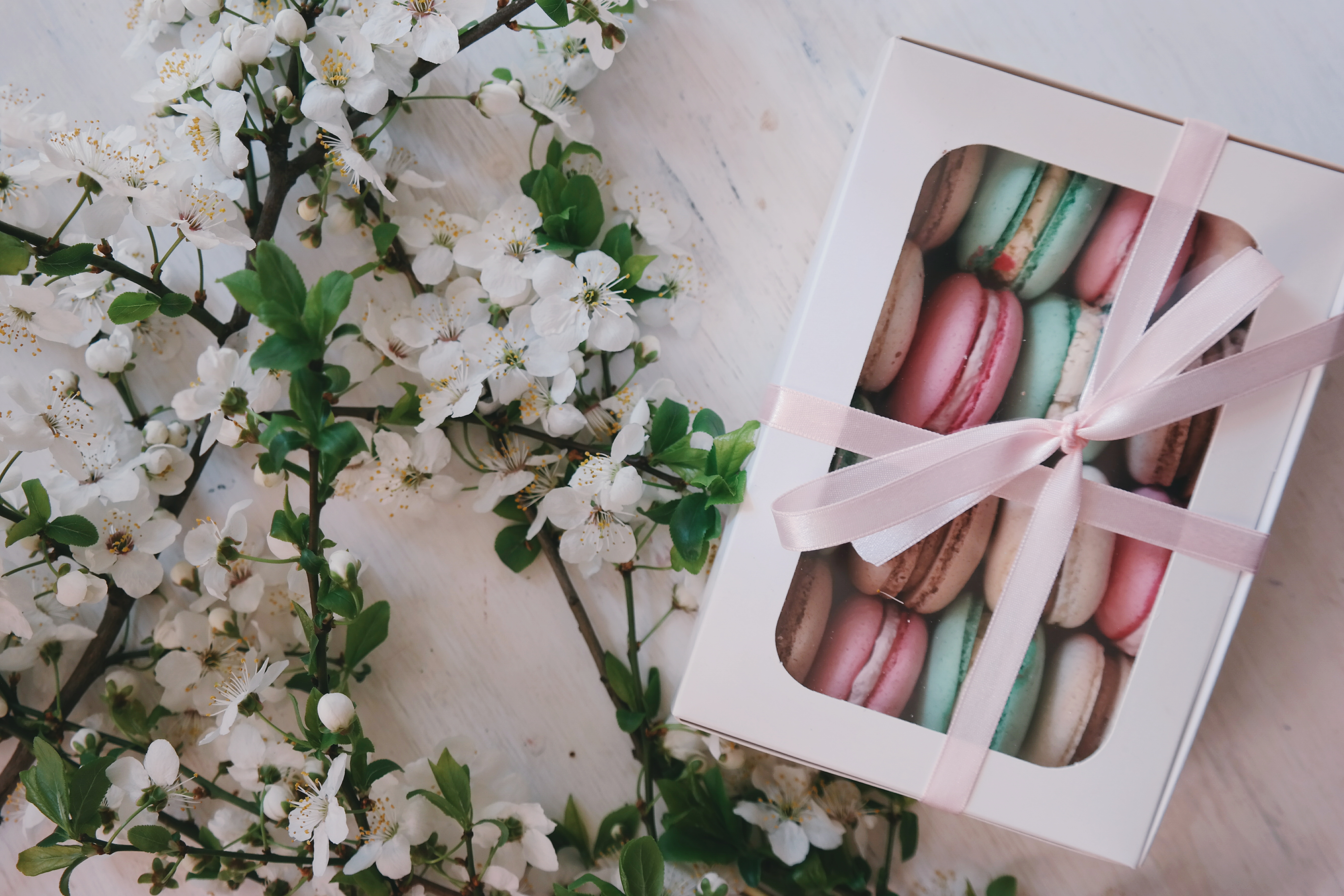 Обои цветы, подарок, коробка, макаруны, flowers, gift, box, macaroon разрешение 5472x3648 Загрузить