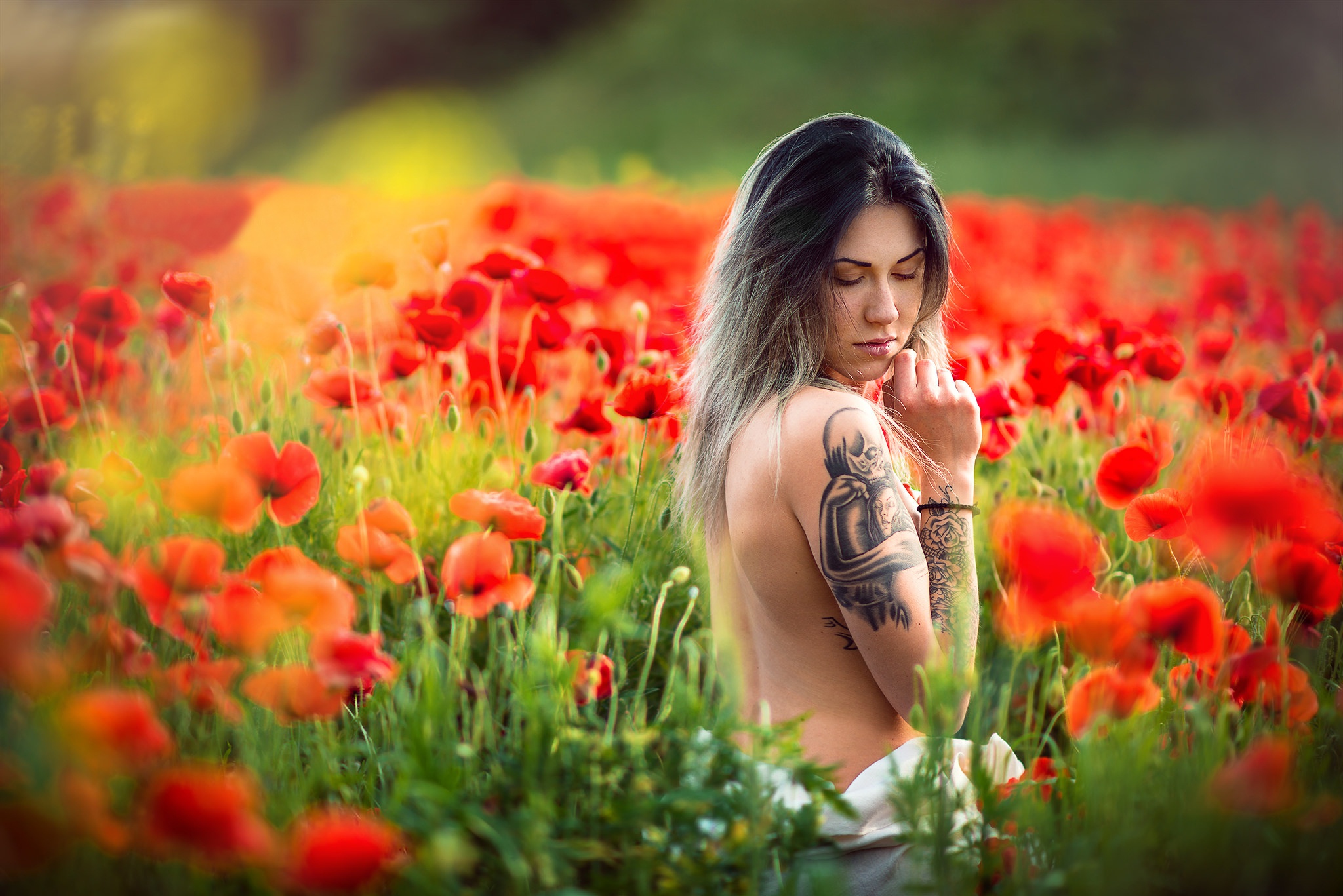 Обои цветы, девушка, настроение, маки, луг, тату, спина, боке, flowers, girl, mood, maki, meadow, tattoo, back, bokeh разрешение 2048x1367 Загрузить