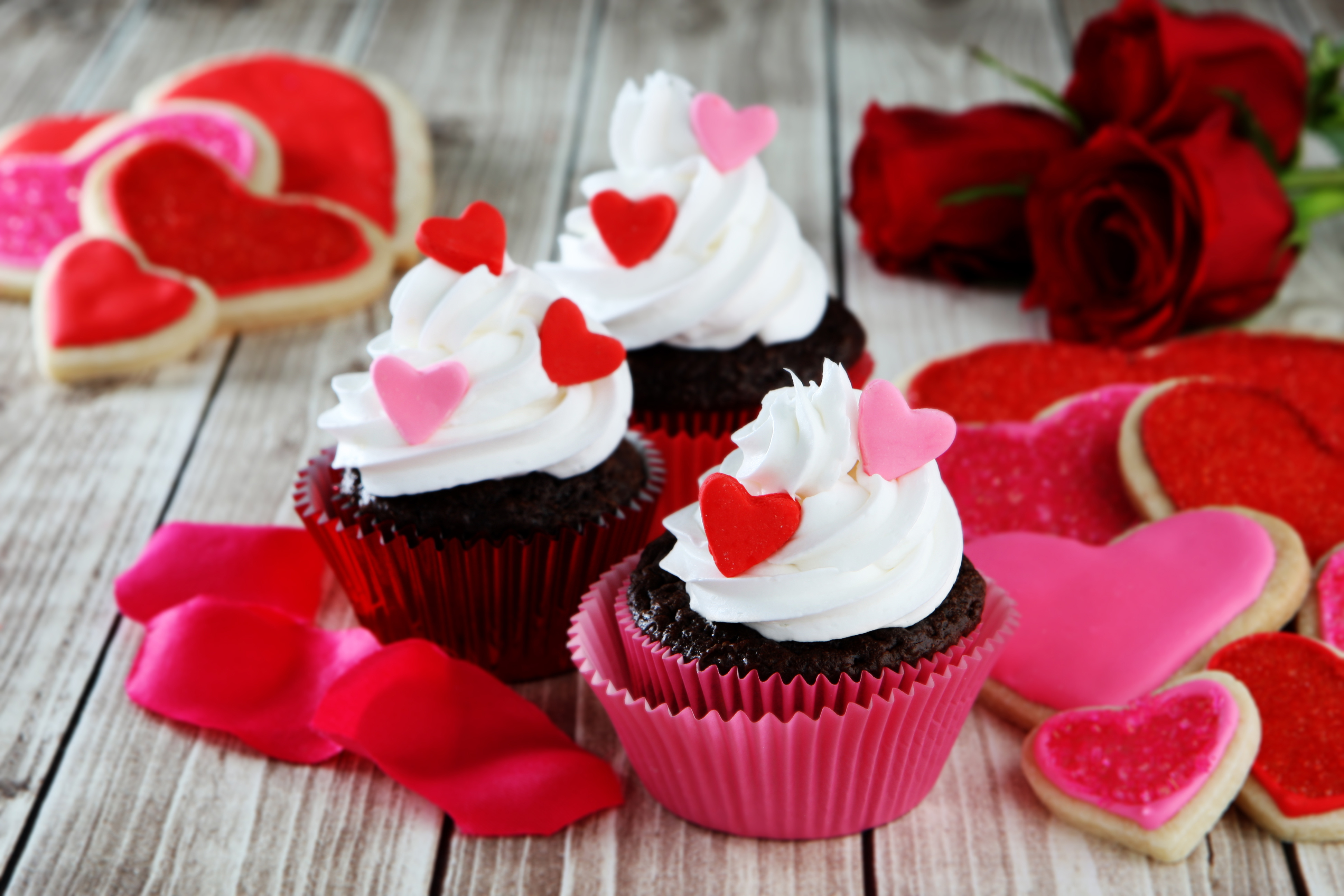 Обои день святого валентина, розы, кексы, любовь, валентинов день, сердца, крем, сладкое, печенье, выпечка, десерт, глазурь, valentine's day, roses, cupcakes, love, heart, cream, sweet, cookies, cakes, dessert, glaze разрешение 3888x2592 Загрузить
