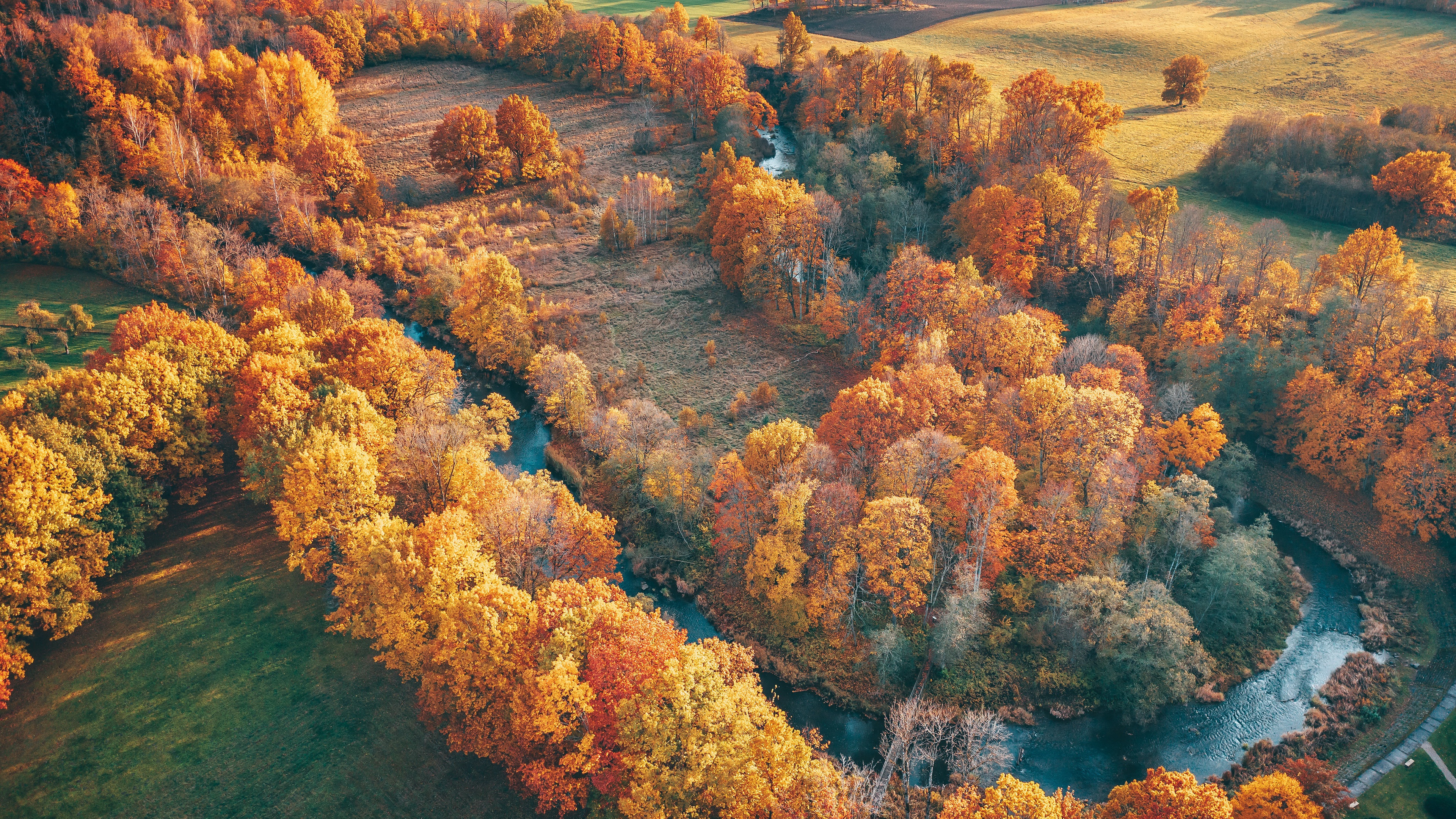 Обои деревья, река, природа, пейзаж, вид сверху, осень, trees, river, nature, landscape, the view from the top, autumn разрешение 3840x2160 Загрузить