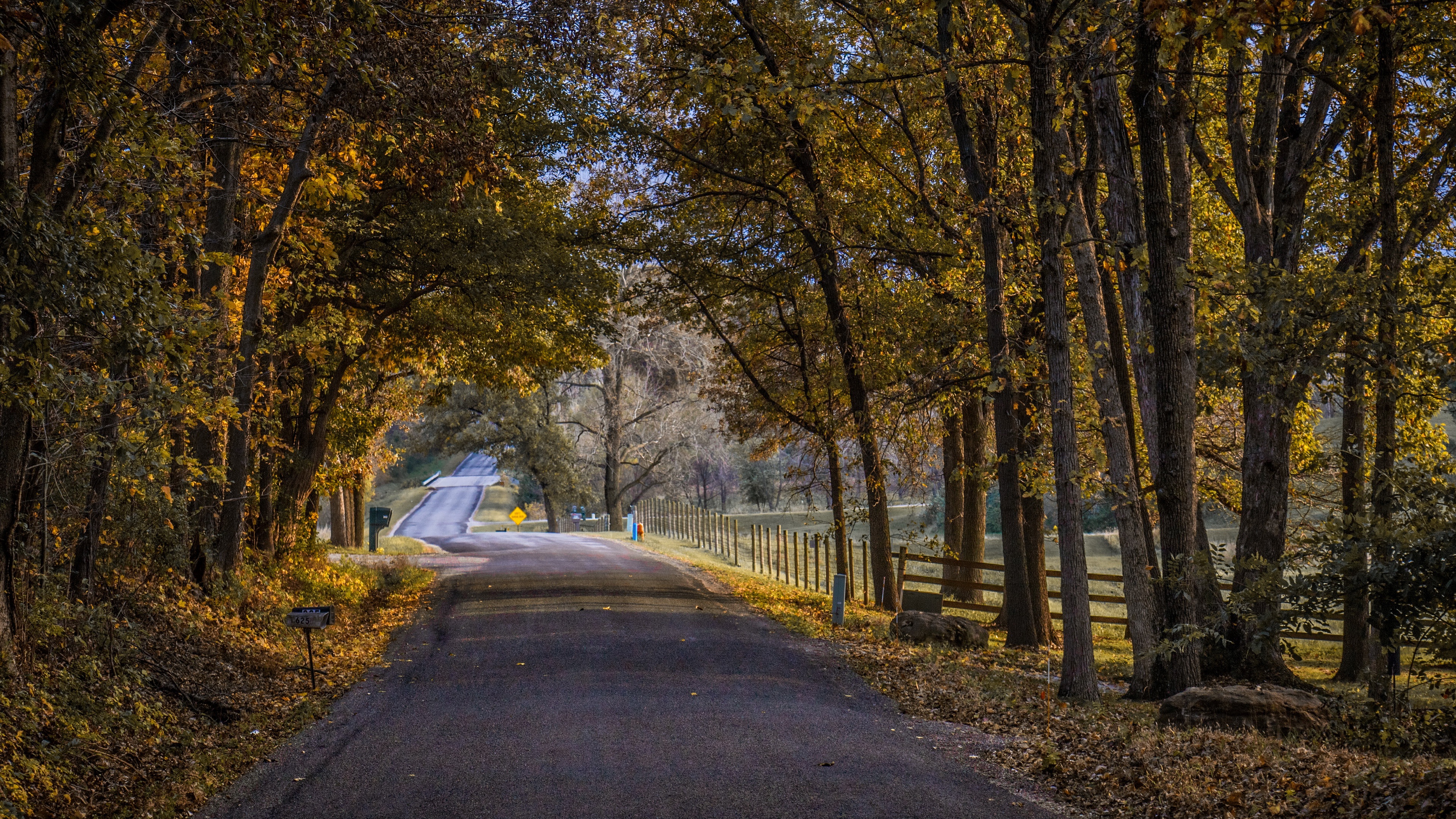 Обои дорога, осень, road, autumn разрешение 3840x2160 Загрузить