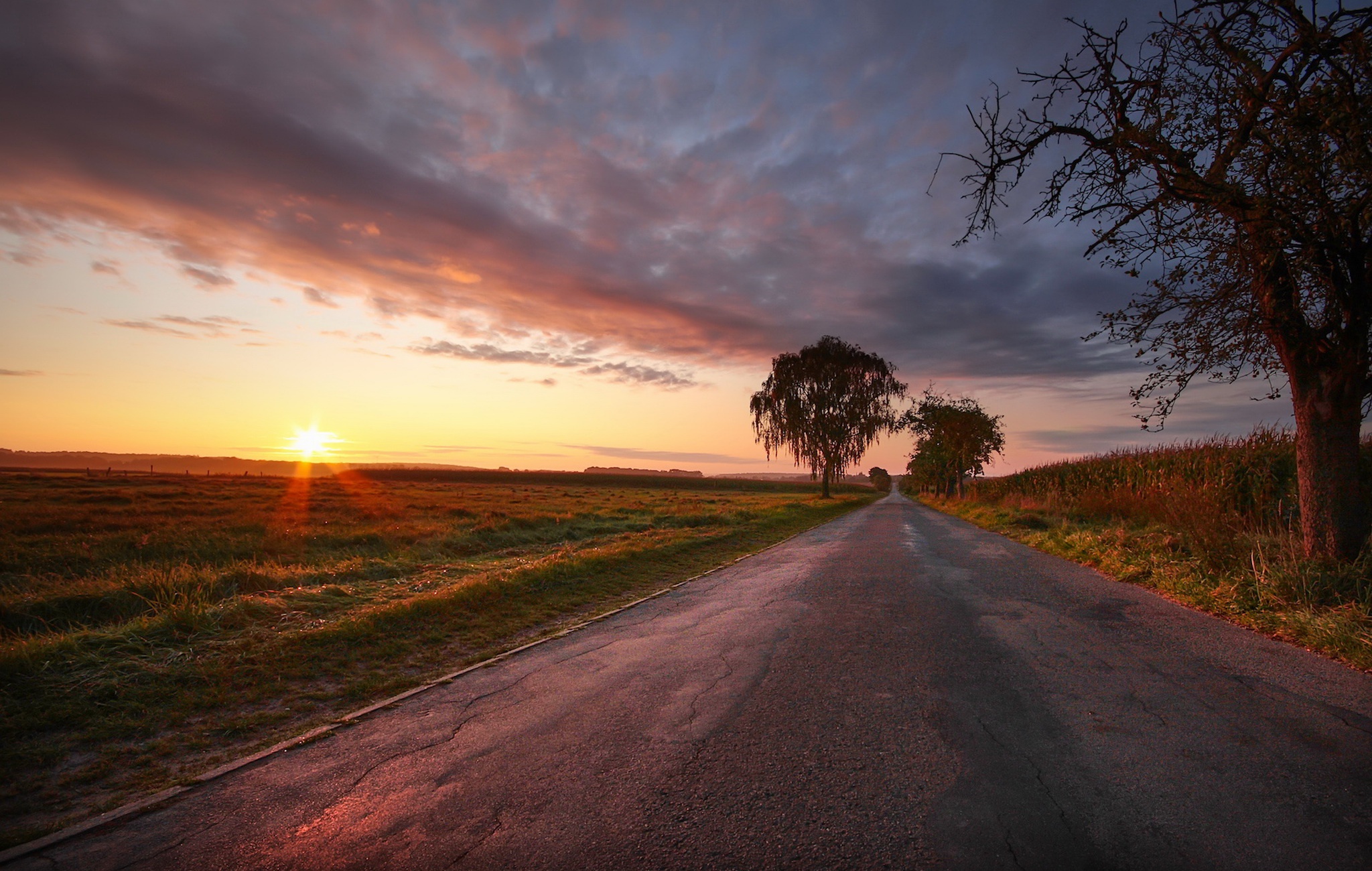 Обои дорога, закат, поле, road, sunset, field разрешение 2048x1300 Загрузить