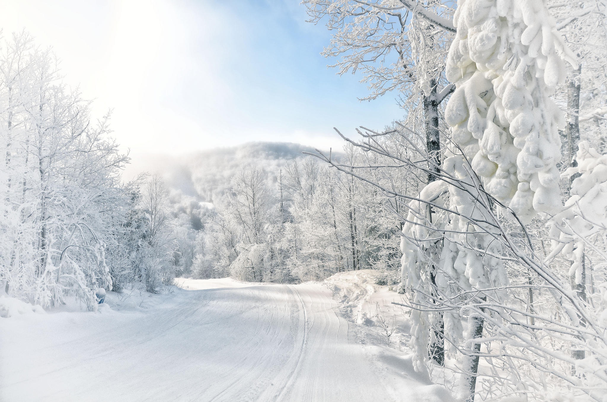 Обои небо, дорога, природа, лес, зима, ветки, иней, the sky, road, nature, forest, winter, branches, frost разрешение 2048x1356 Загрузить