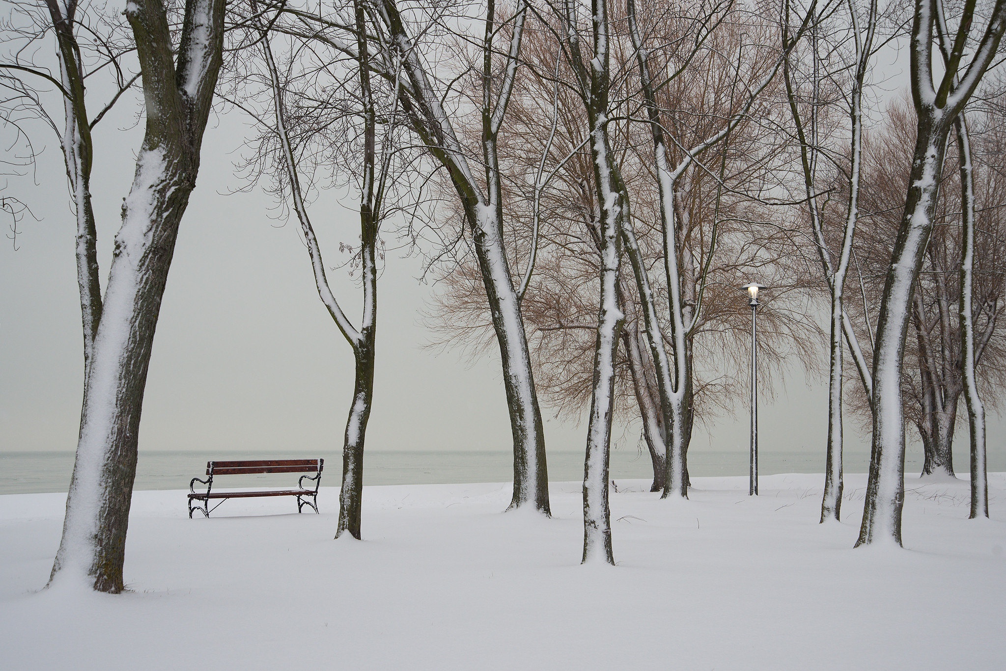 Обои река, берег, зима, скамья, river, shore, winter, bench разрешение 2048x1367 Загрузить