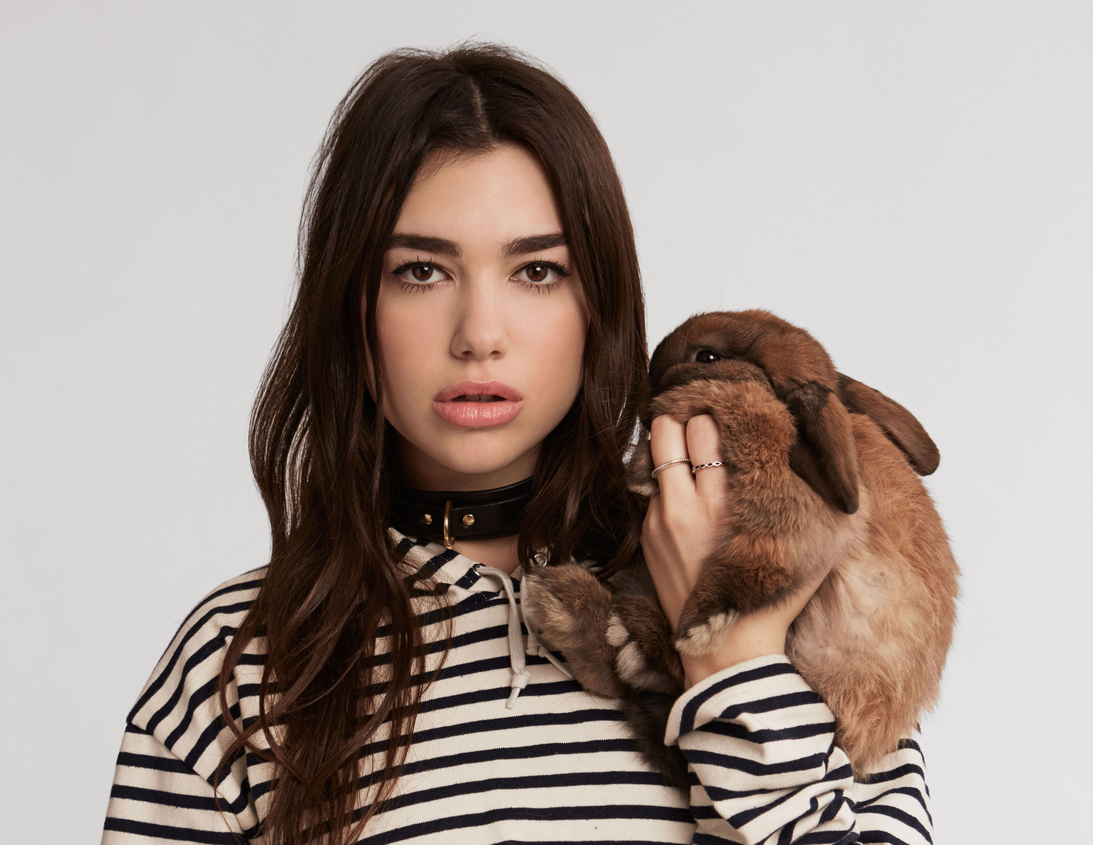 Обои кролик, певица, дуа липа, rabbit, singer, dua lipa разрешение 3714x2872 Загрузить